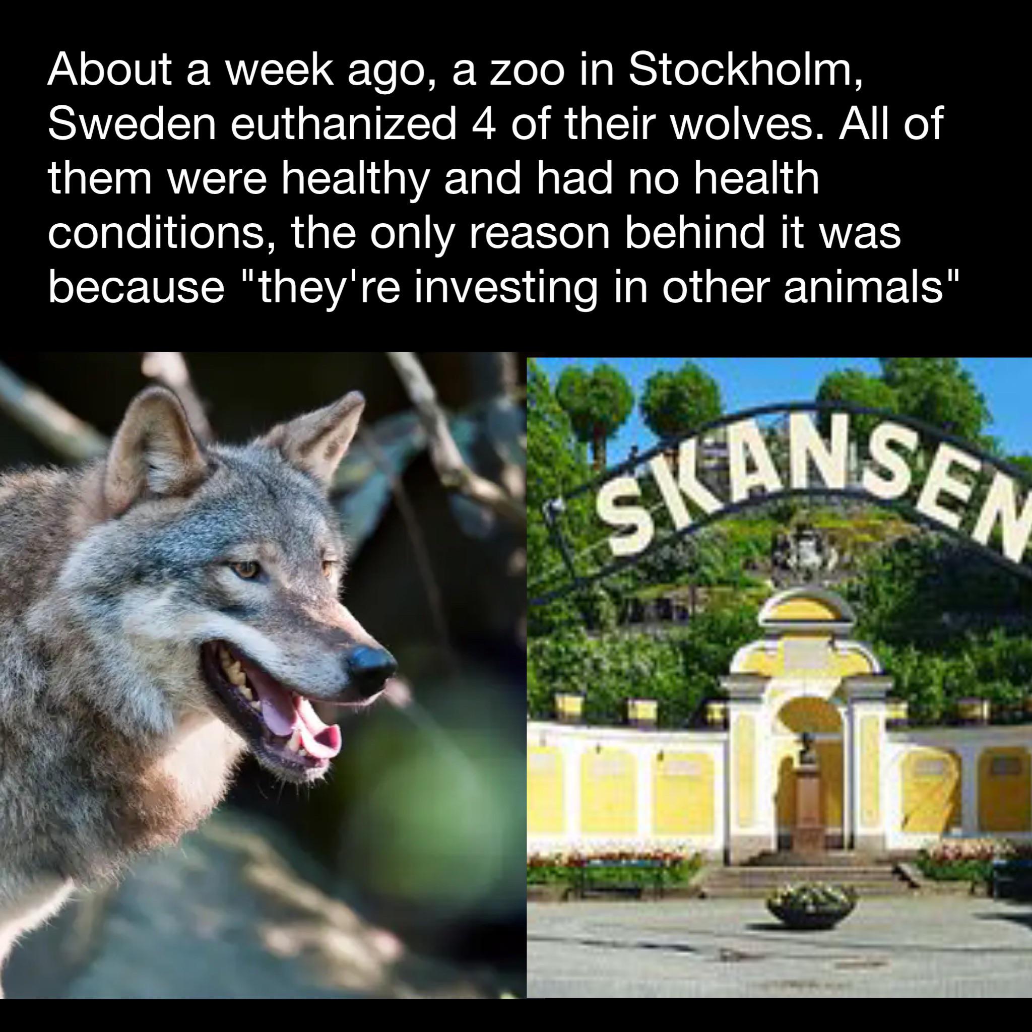 POS zoo doesn't care about their animals Scrolller