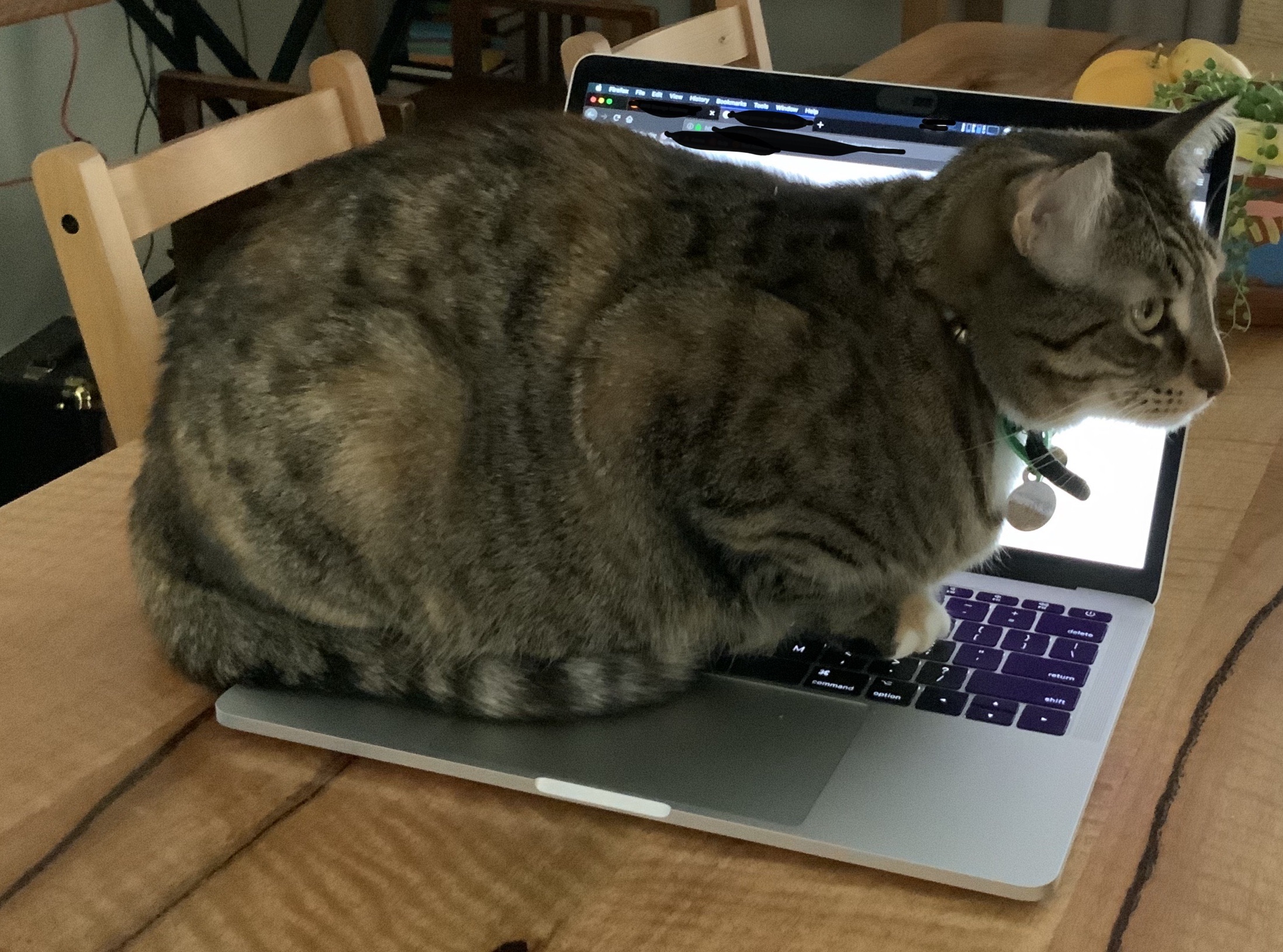 Productivity Zero Scrolller