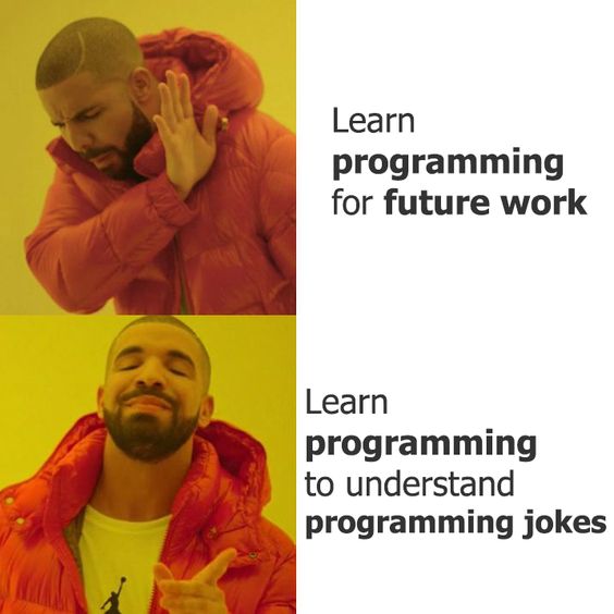 Programming Meme | Scrolller