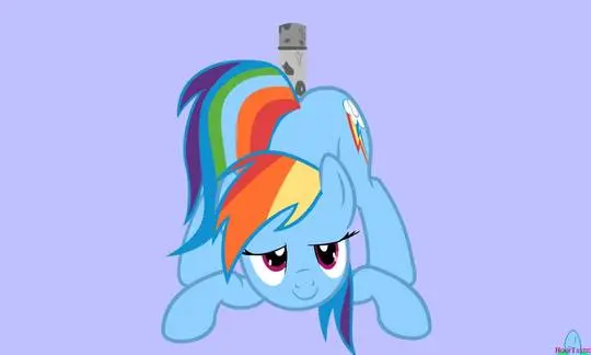 Rainbow Dash anal [animated] (artist:hooftastic)