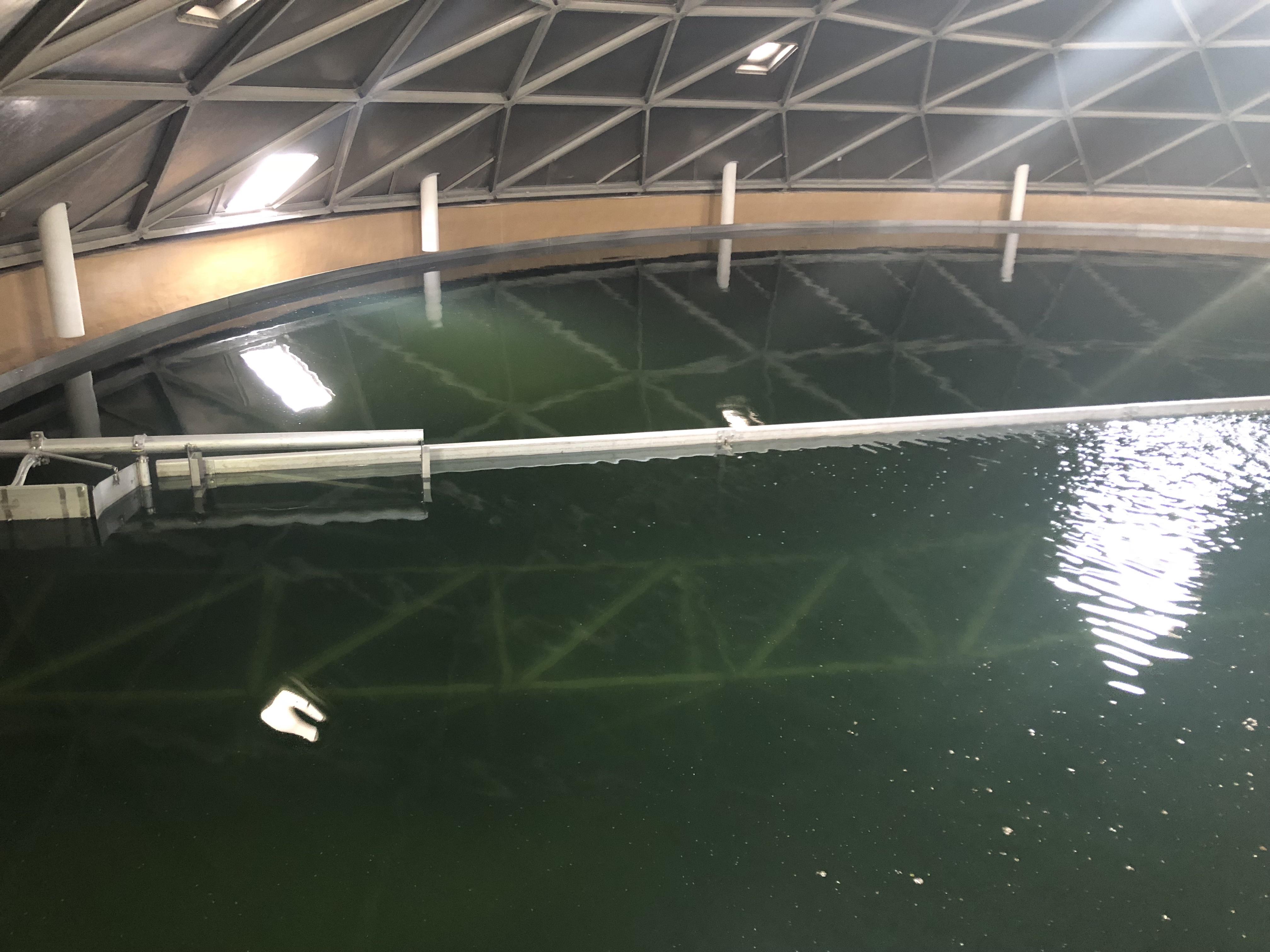Rake mechanism of a primary clarifier. We were leak testing the tank ...