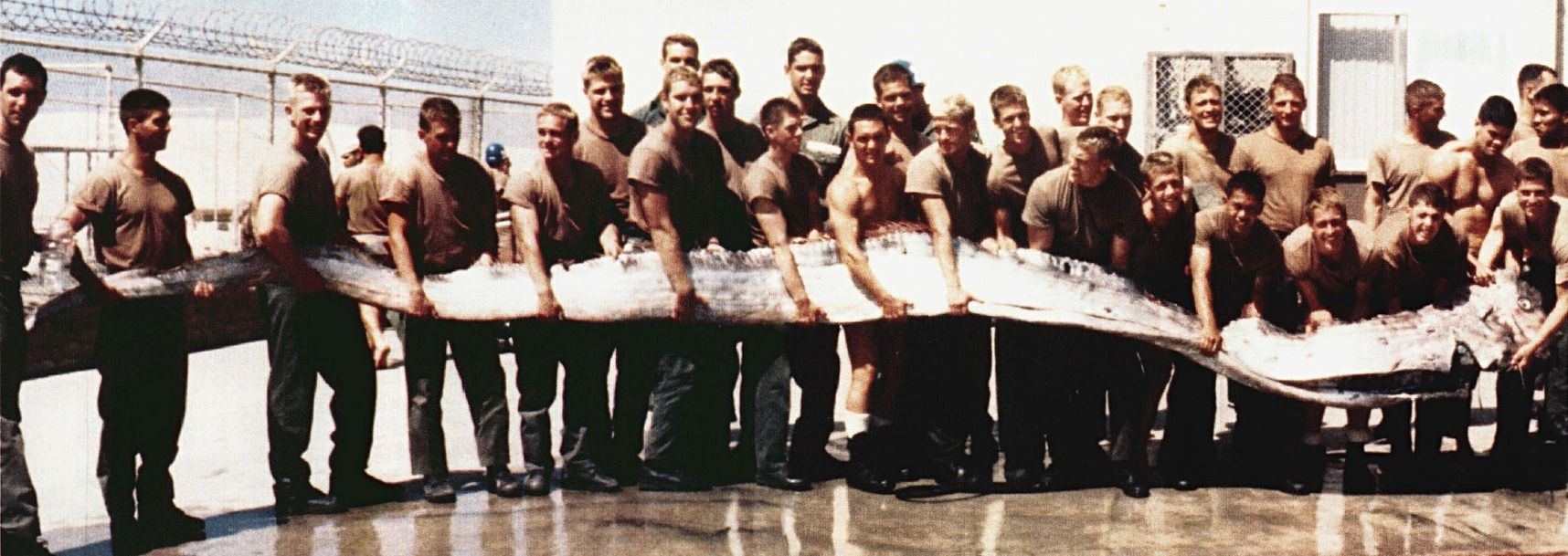 The giant oarfish (Regalecus glesne) is the longest bony fish in the ...