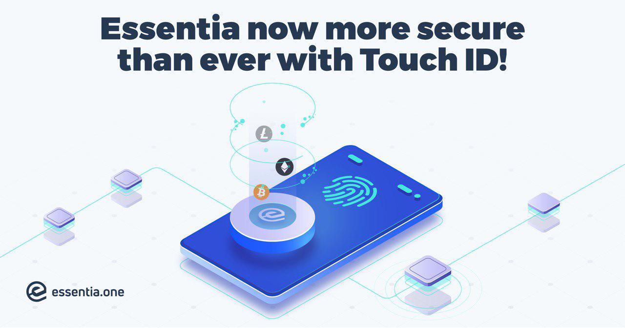 Seed, Mnemonics, Keystore file, complete decentralization, and now ...