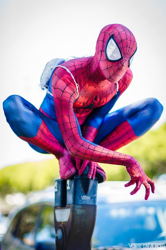[Self] Ultimate Spider-Man. Perched on a parking meter. My legs are still sore.