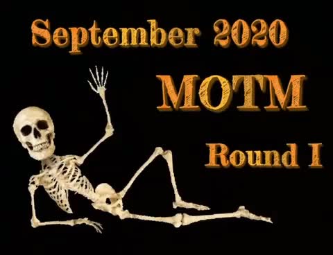 SEPTEMBER 2020 MEME OF THE MONTH — ROUND 1! VOTE! | Scrolller