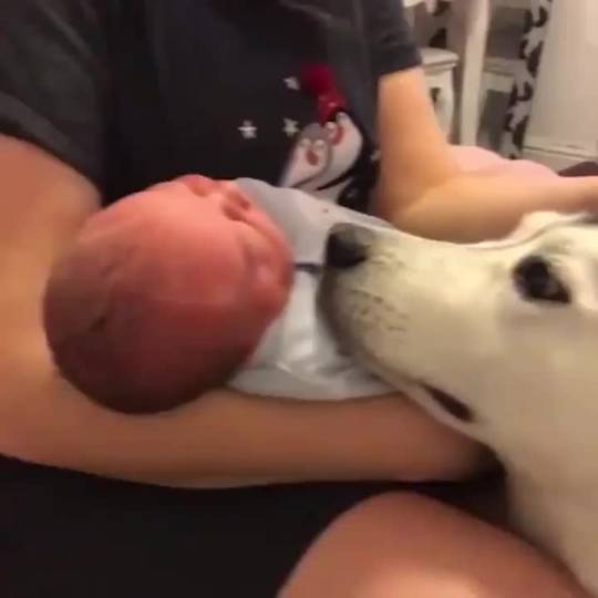 She's in love with the new tiny human