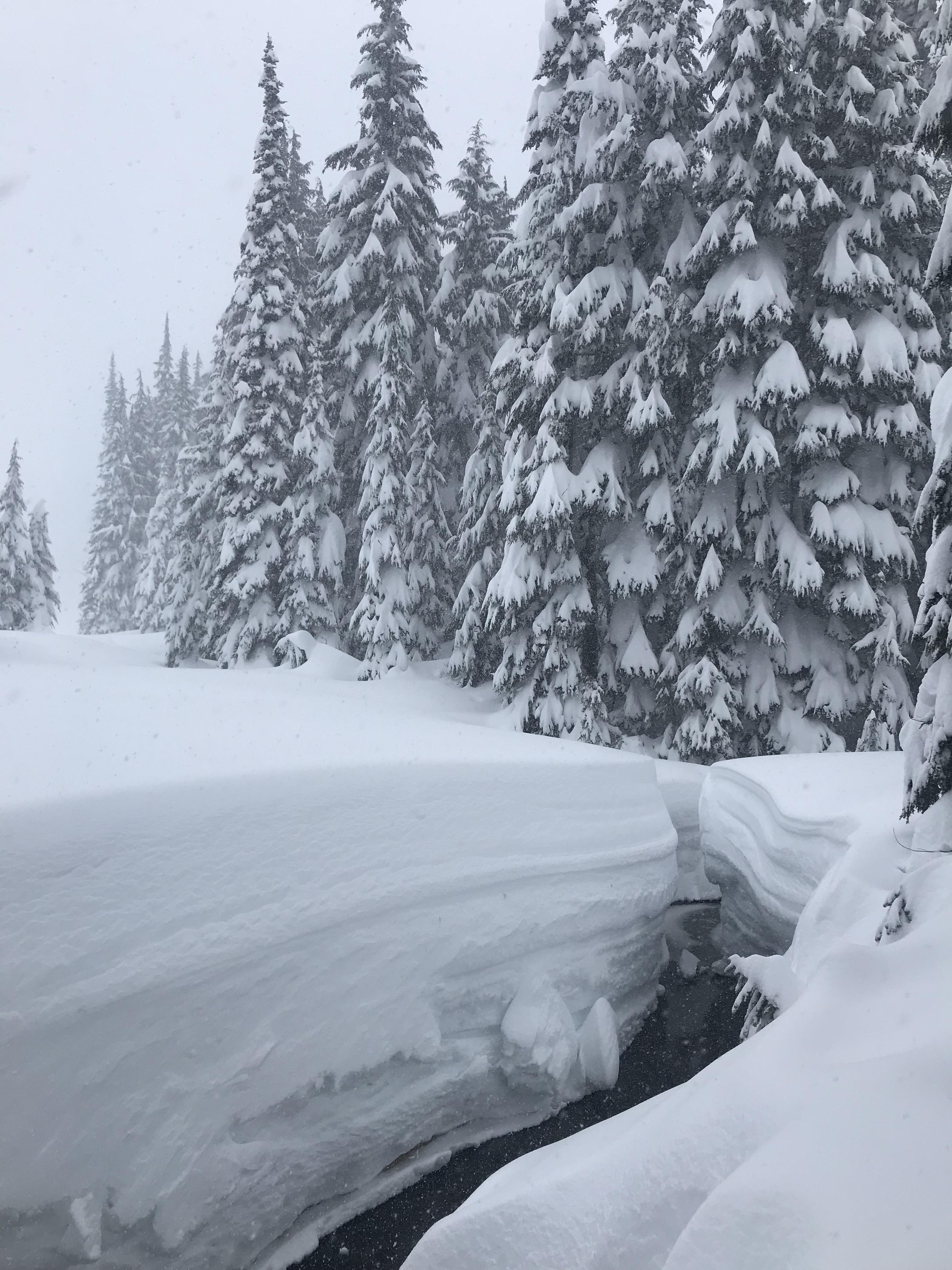 Snow layers in The PNW | Scrolller