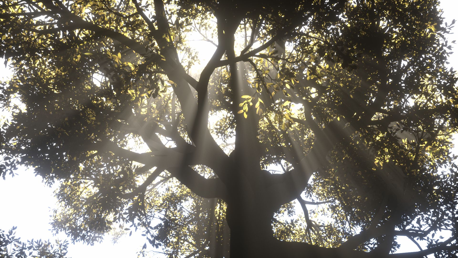 some practice,tree,rendered using Octane render for C4D | Scrolller