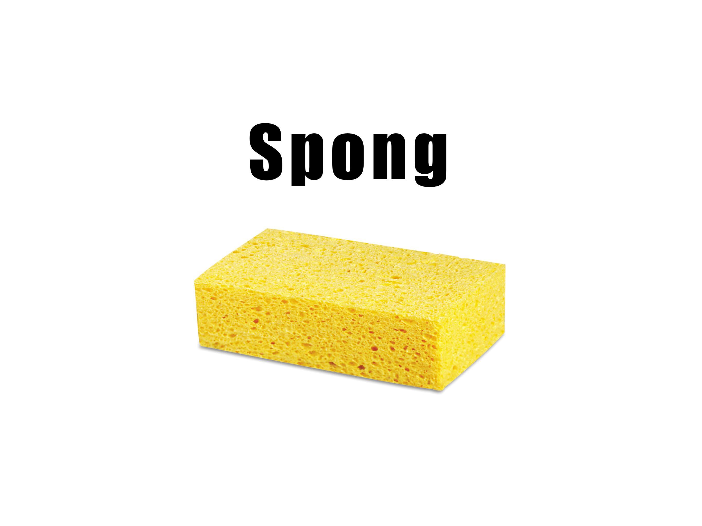 Spong | Scrolller