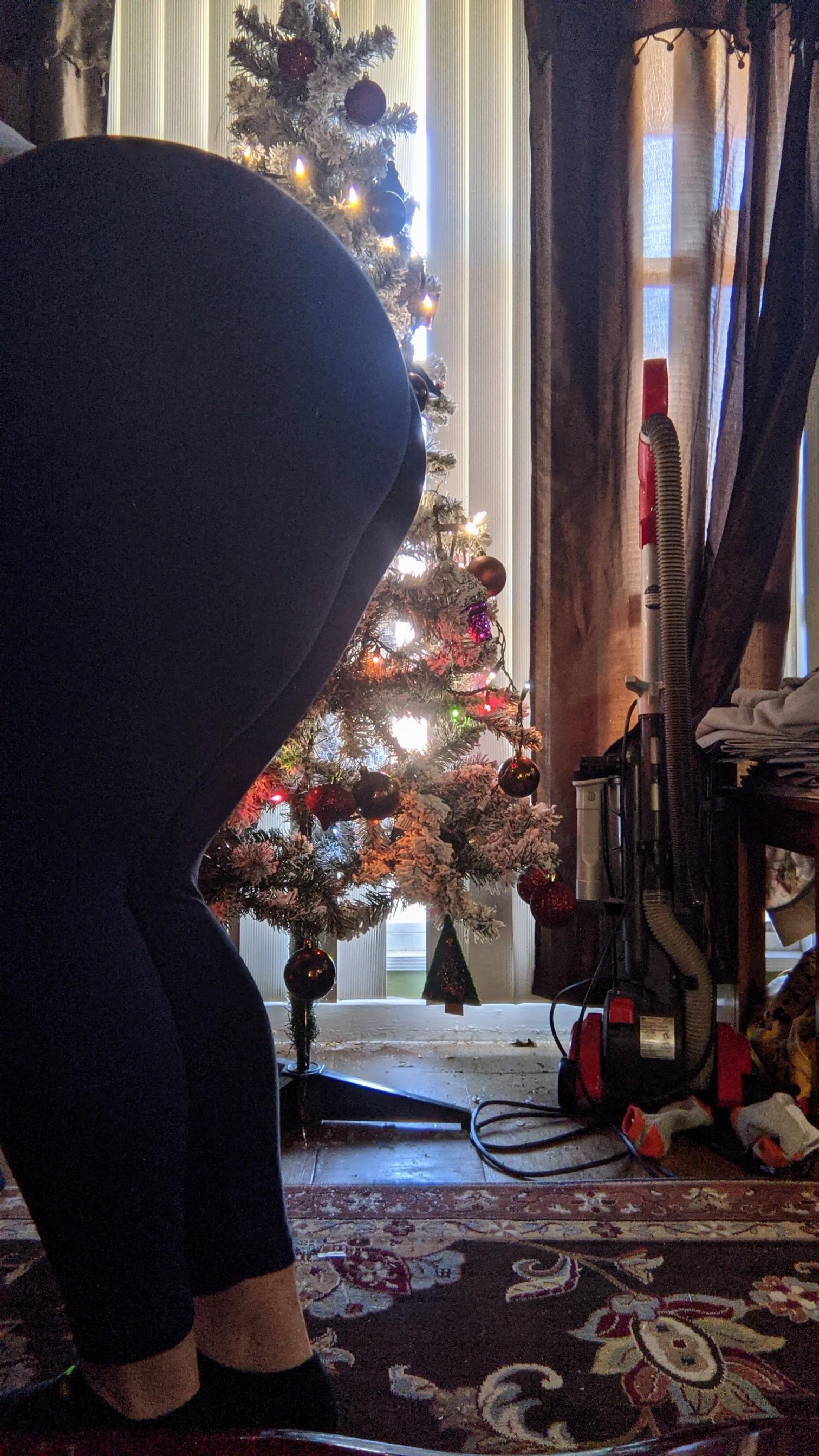 Squats! Lunges! Leg Lifts! It's Leg Day Baby 🏻 Scrolller