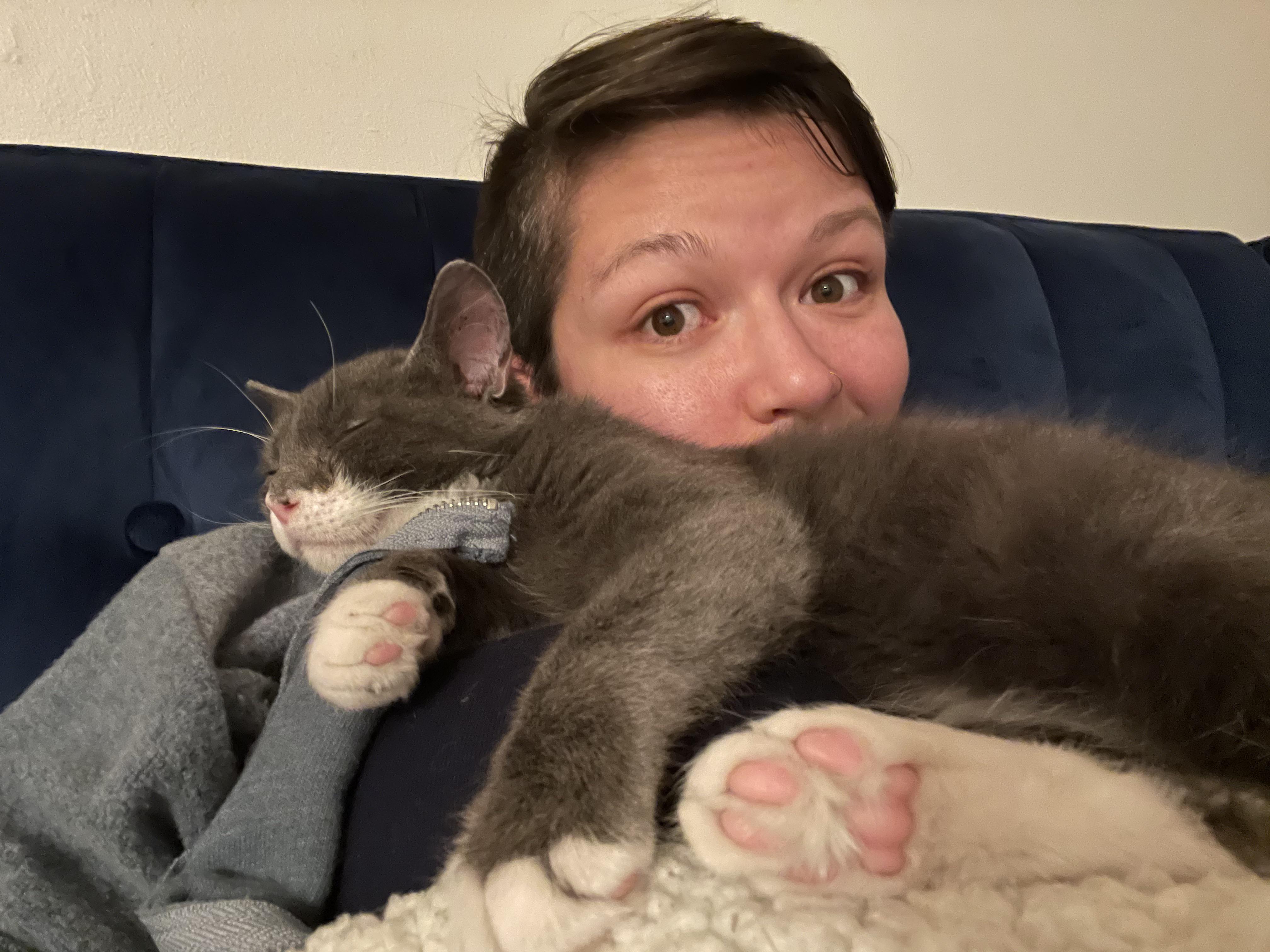 Still life with toe beans, cat nap edition. Kitten parents = the best ...