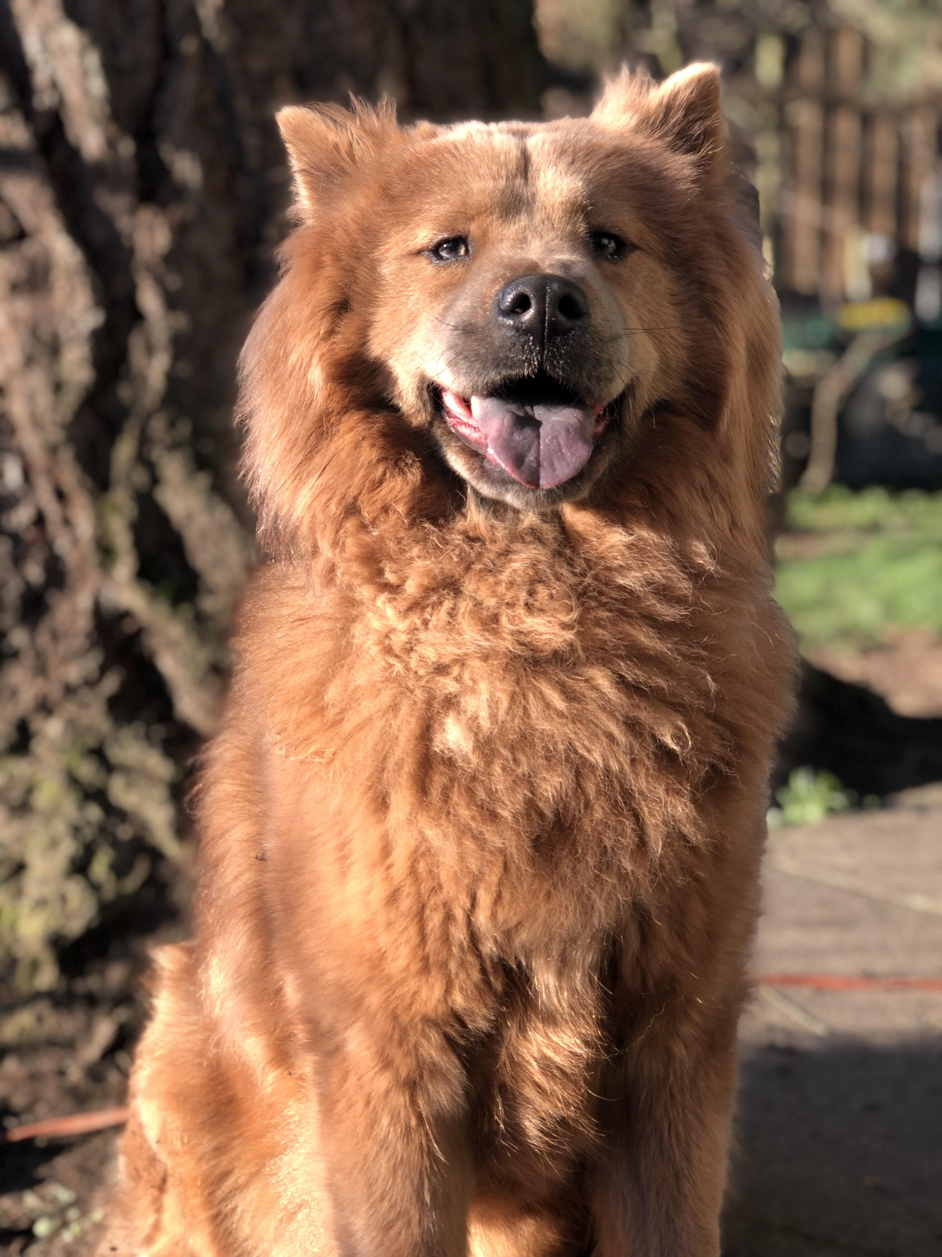 Sweet coco | Scrolller