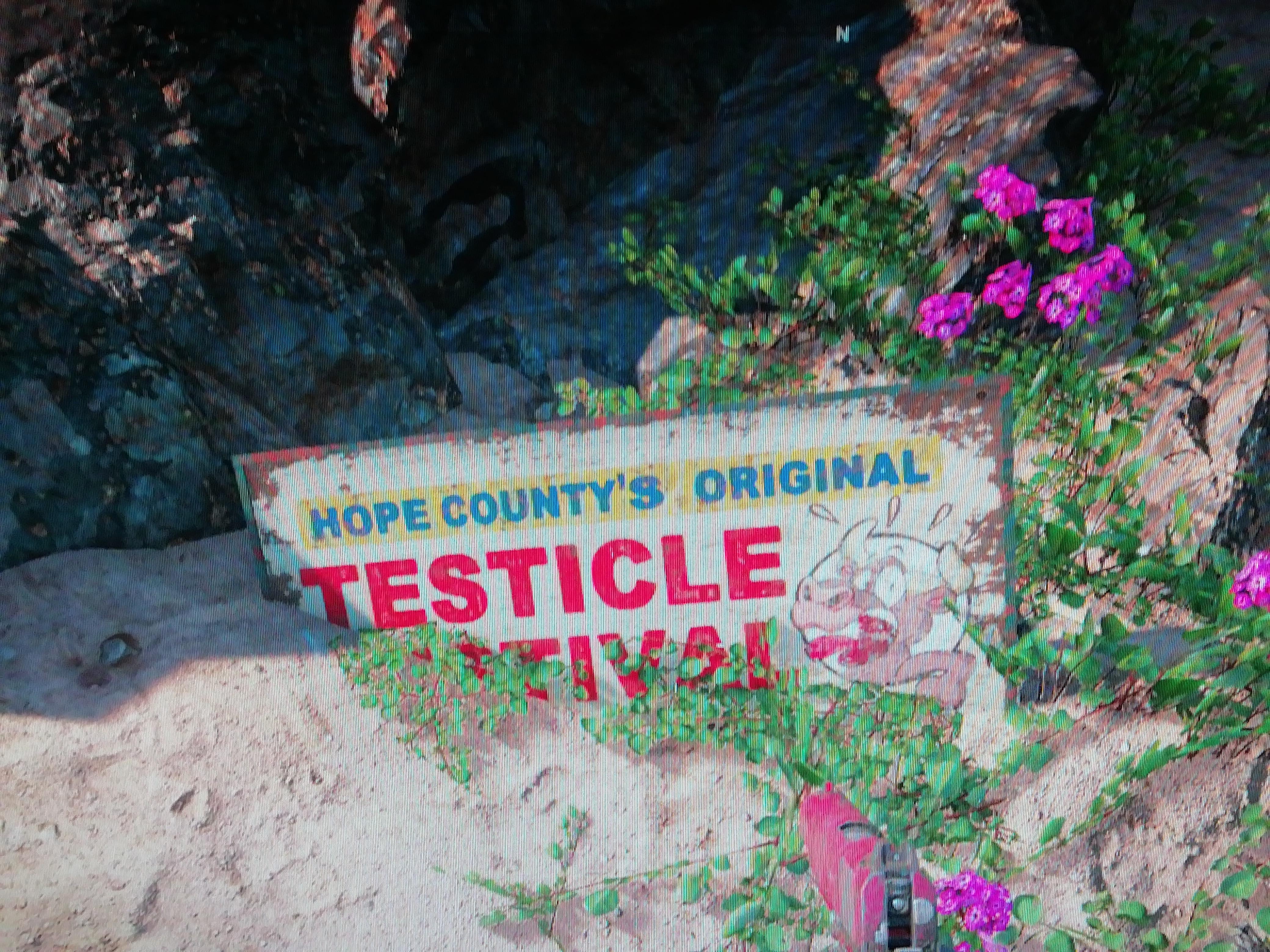 TestiFest sign from FC5 in New Dawn | Scrolller