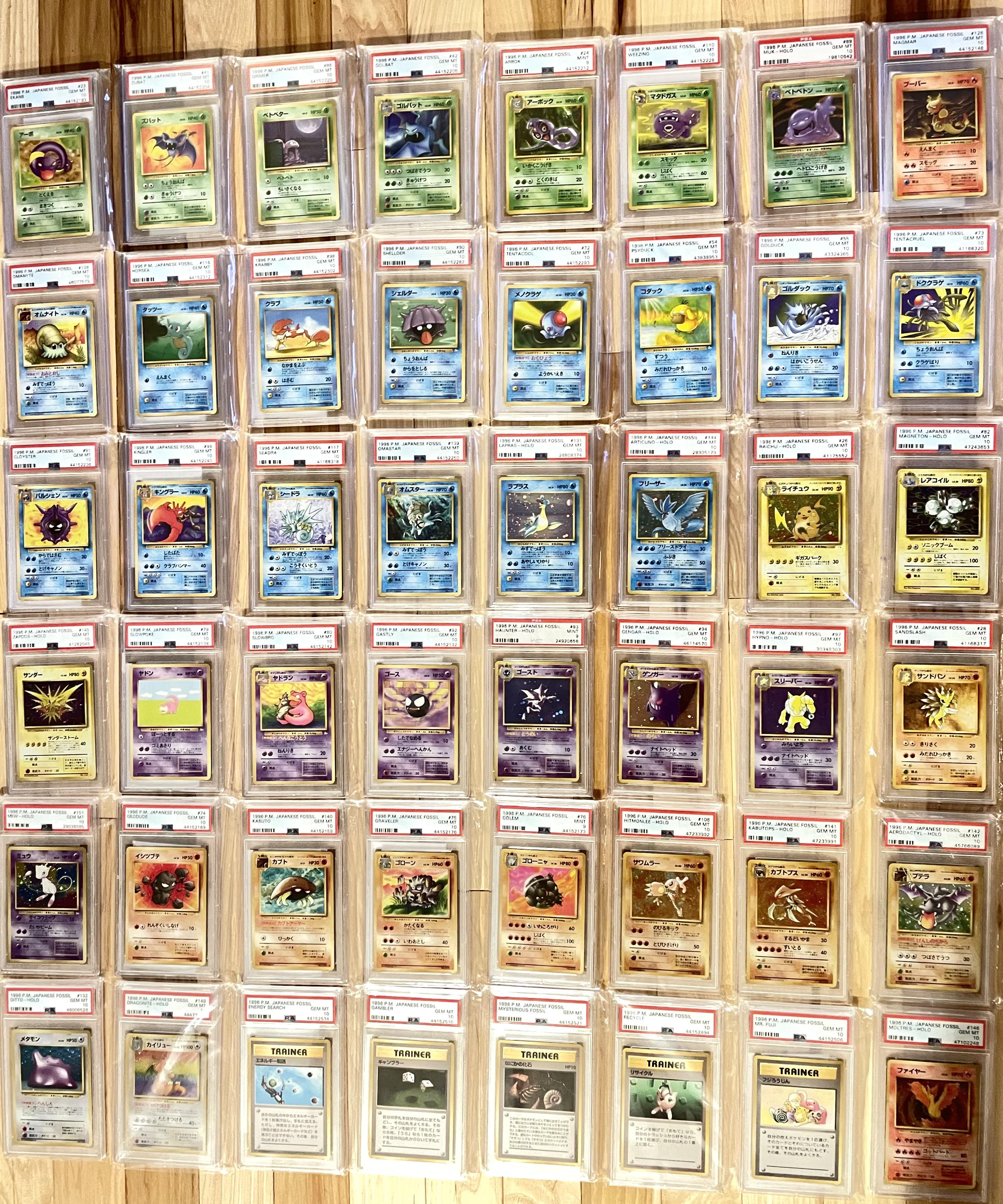 The 1996 Japanese Fossil Set is by far my favorite, such cool artwork