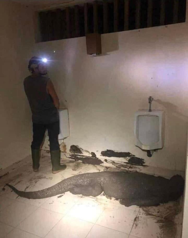 The biggest poop on the word. | Scrolller