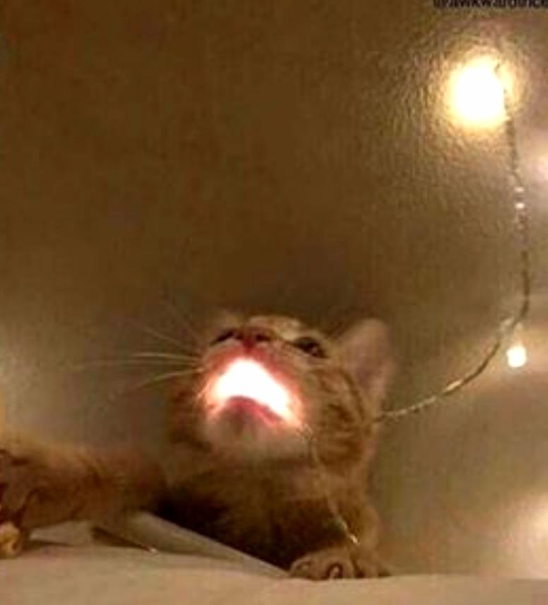 The Final Boss Scrolller