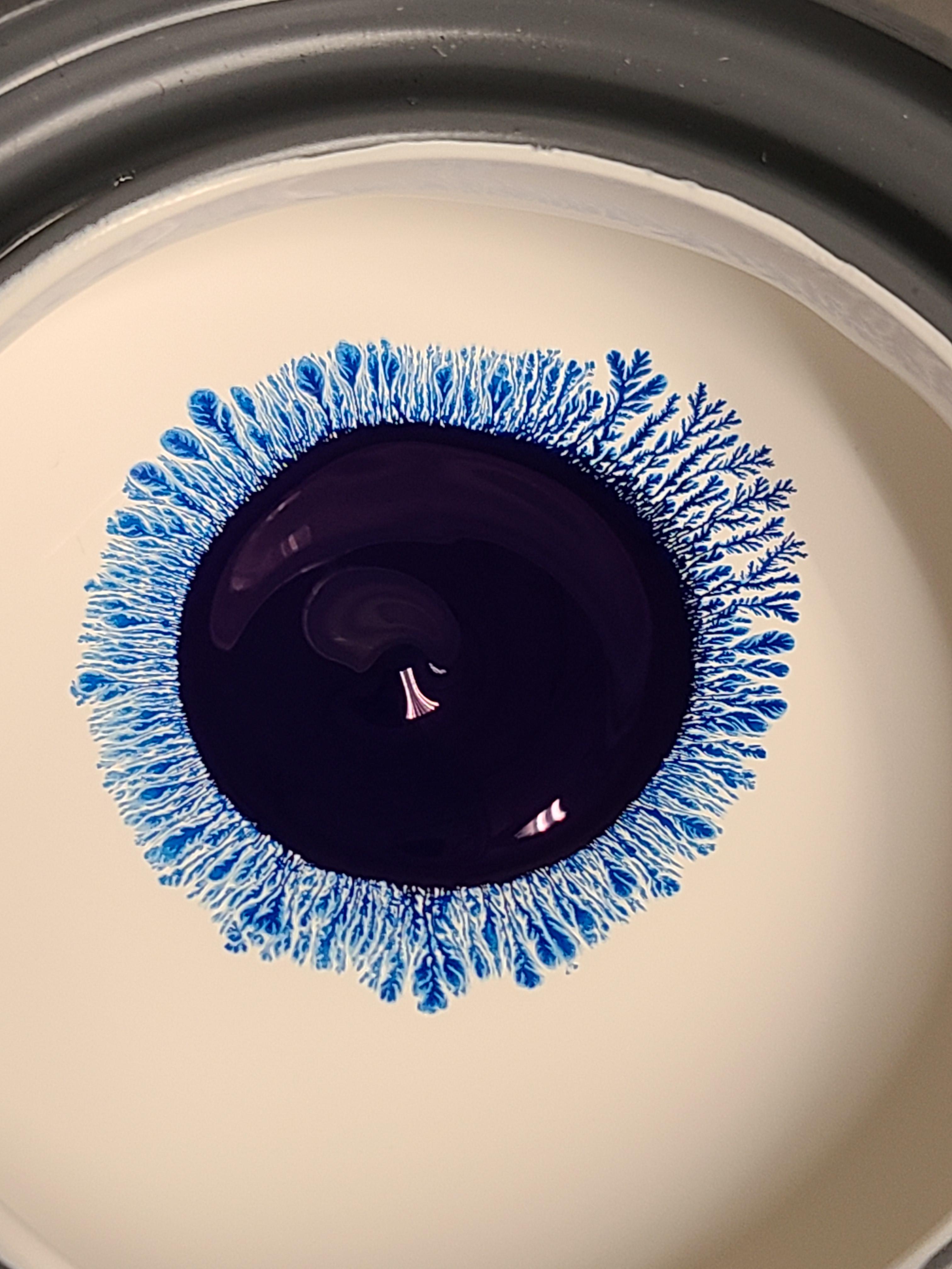 The great eye of latex paint Scrolller