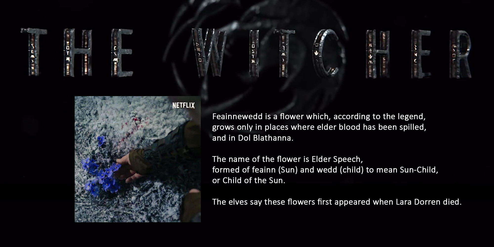 The runes on the Witcher logo roughly translate to "A flower shall grow