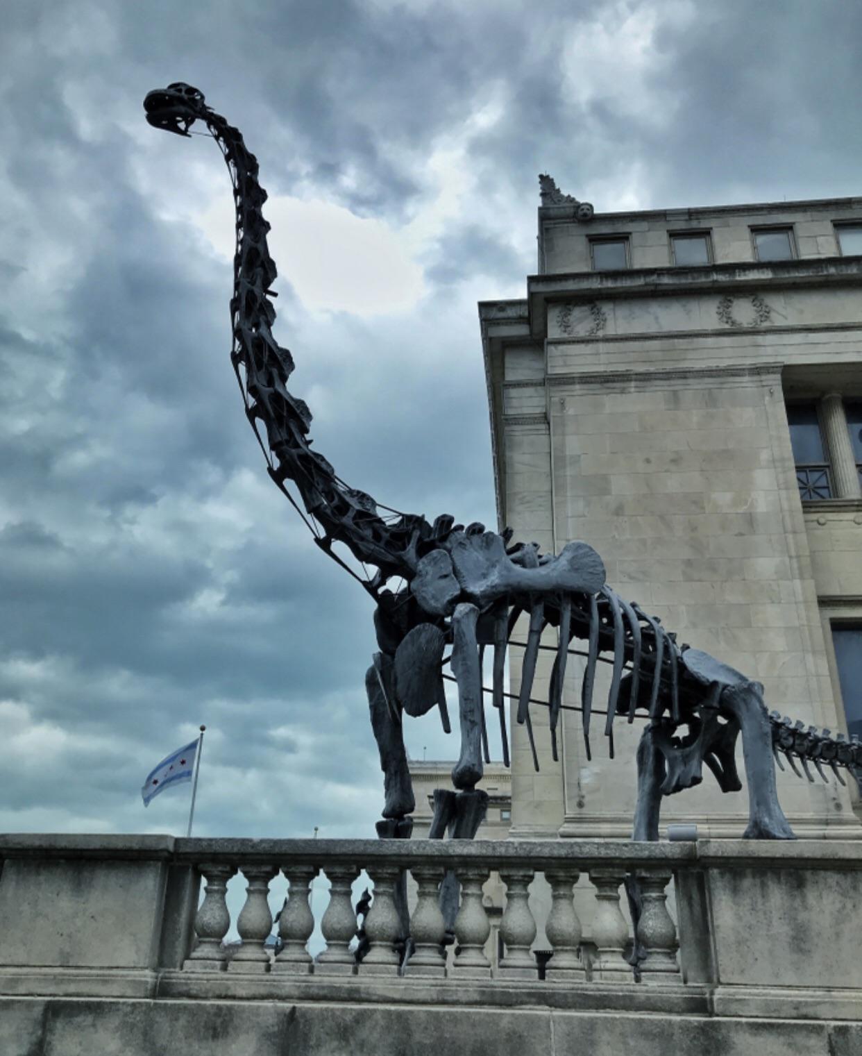 This Brachiosaurus statue at the field museum in Chicago Scrolller