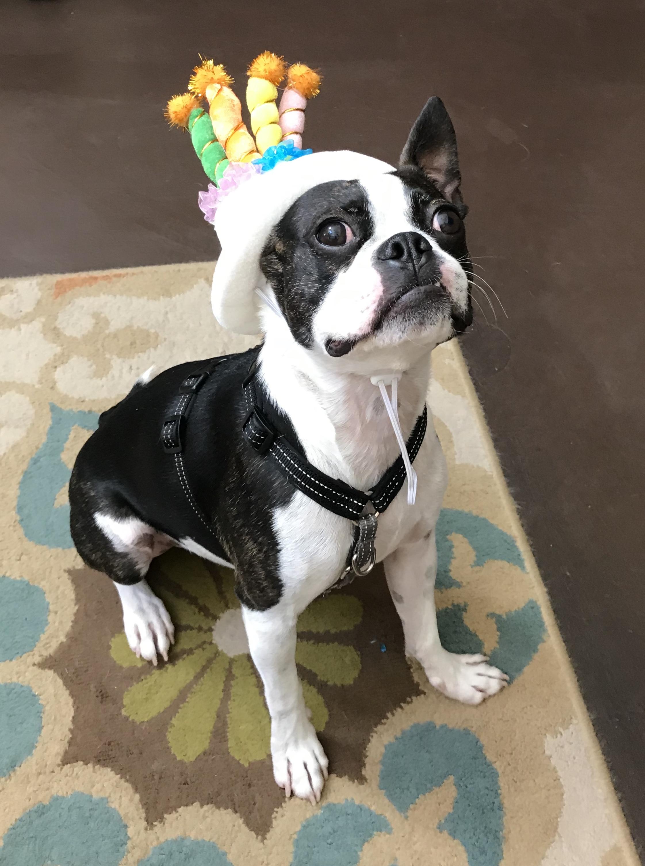This fart factory is 2 today! Scrolller