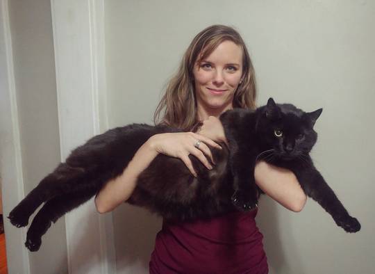 This is my black panther Bruno