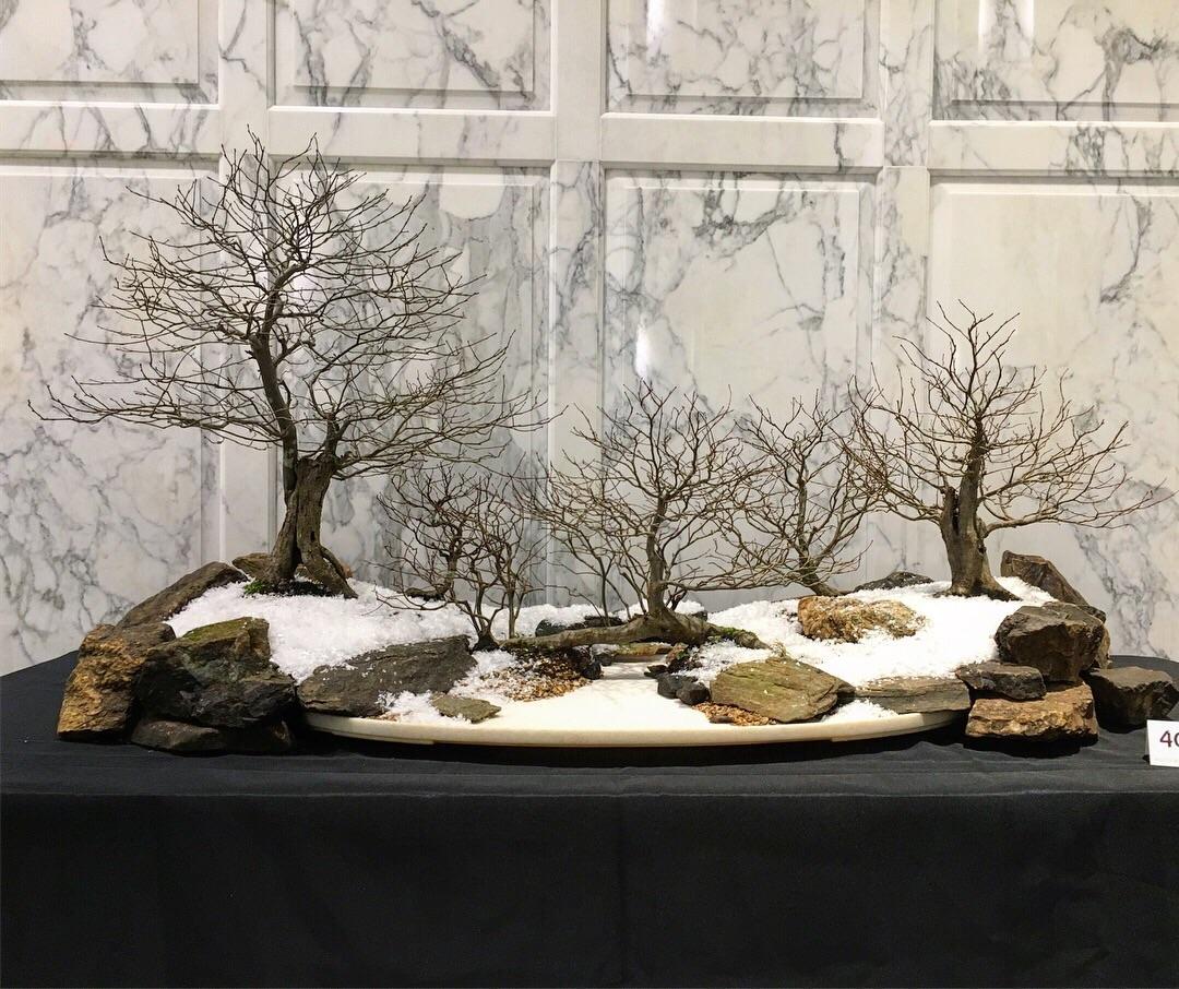 This was the ABS special award winner at the Winter Silhouette Show in