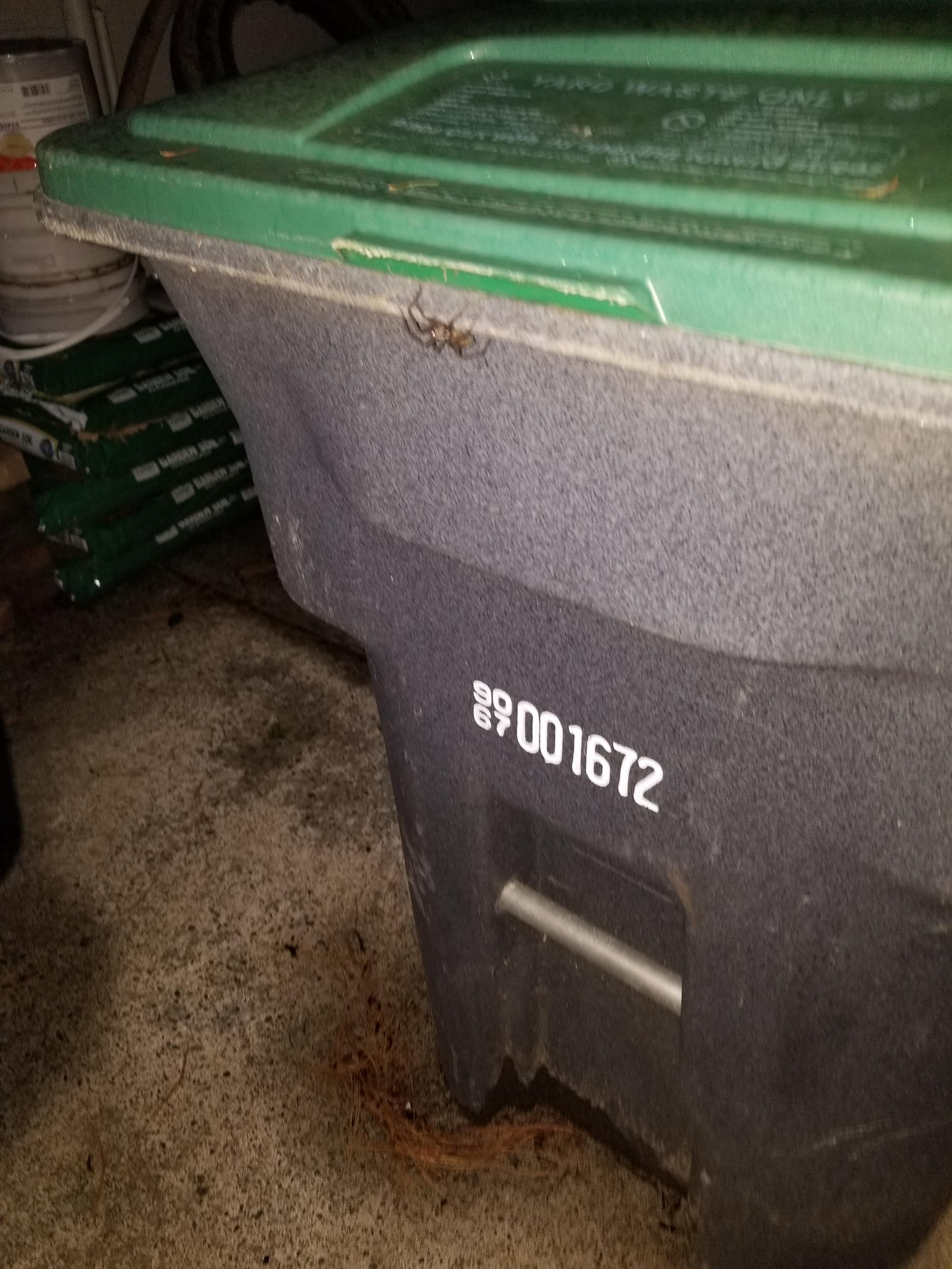 Throwing away my pizza box in yard waste. Almost got had. Scrolller