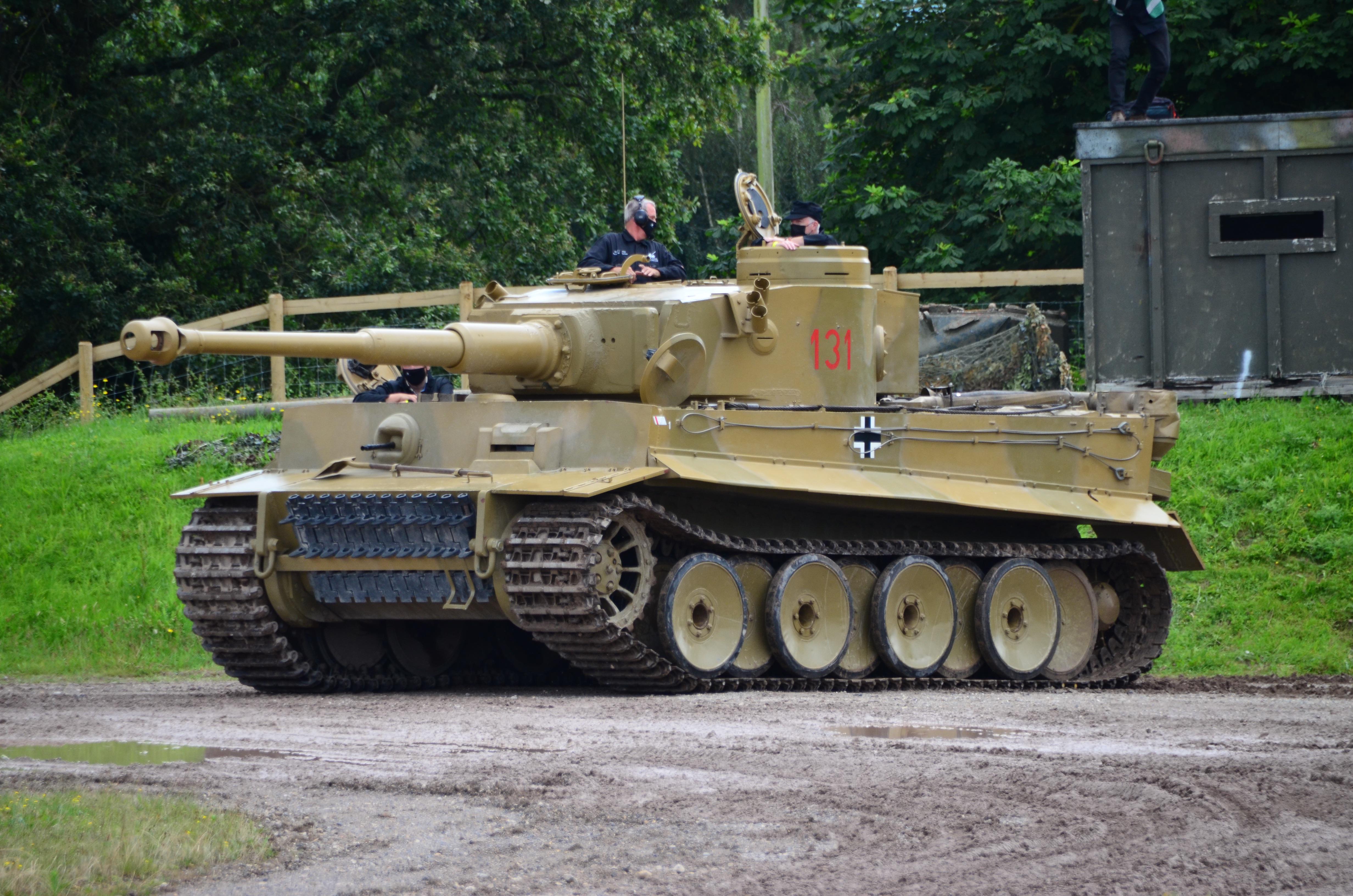 Tiger 131 - the last running Tiger in the world | Scrolller