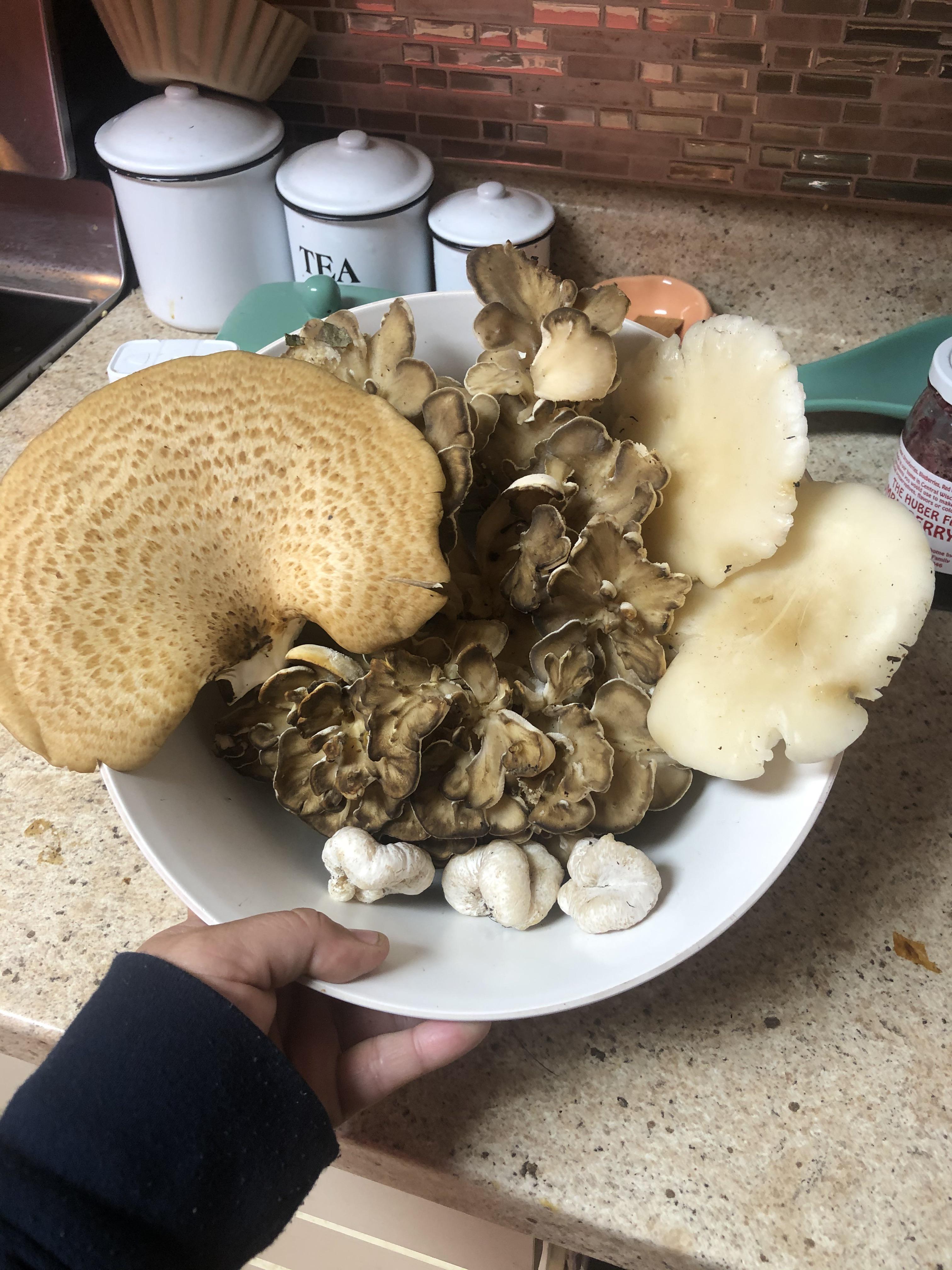 Today s Find In Zone 4b Scrolller today-s-find-in-zone-4b-scrolller