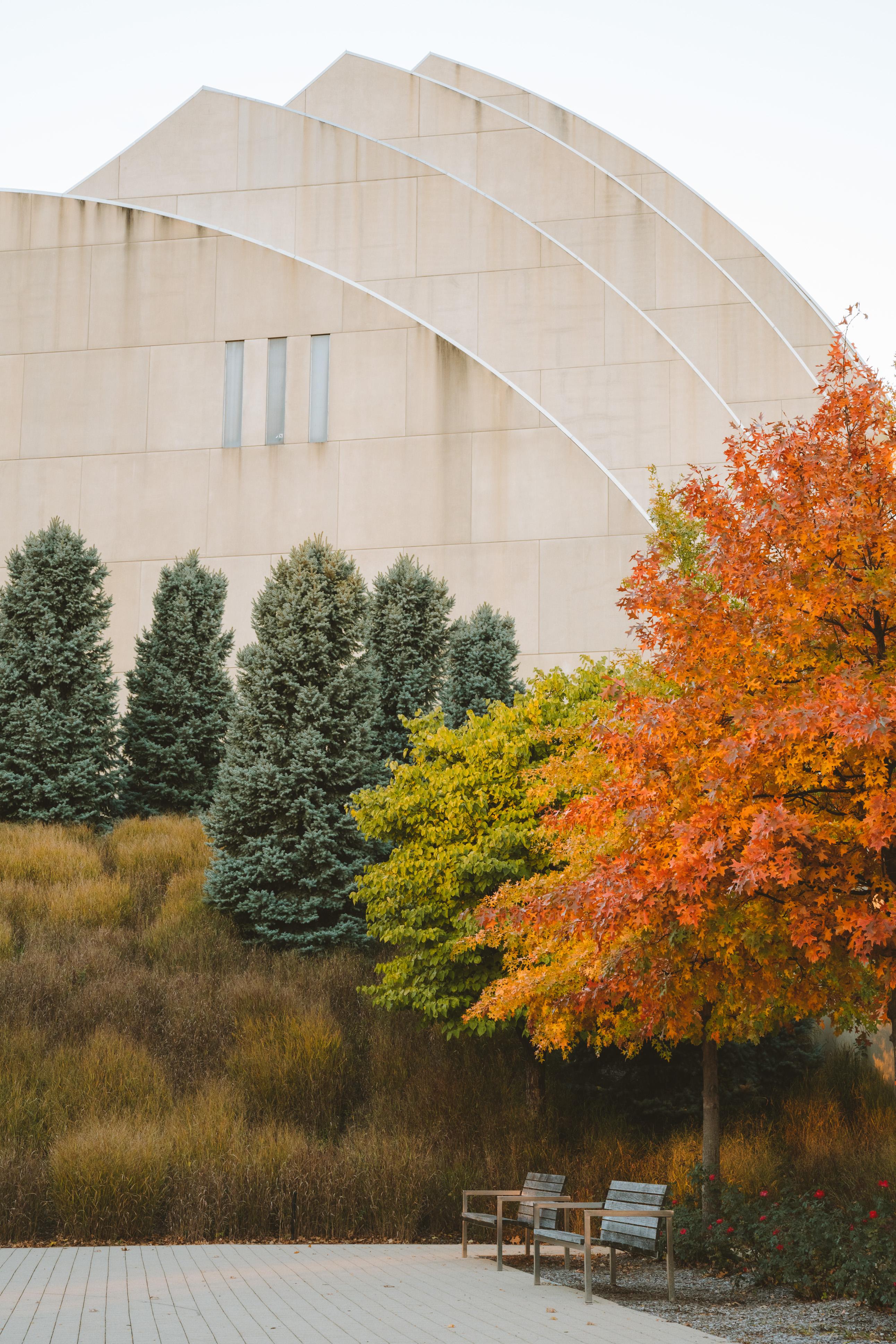 Transition to Fall: in progress | Scrolller