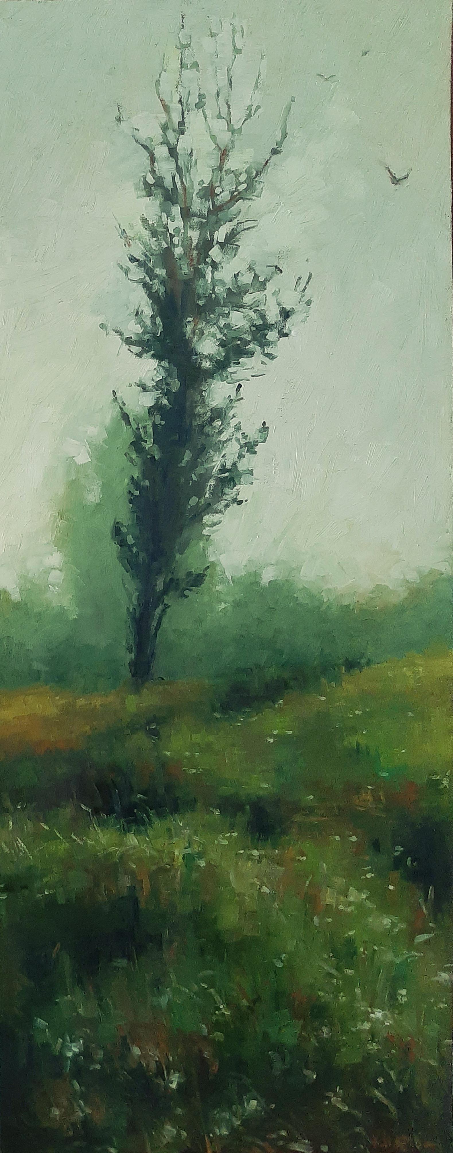 Tree Me Oils 2021 Scrolller