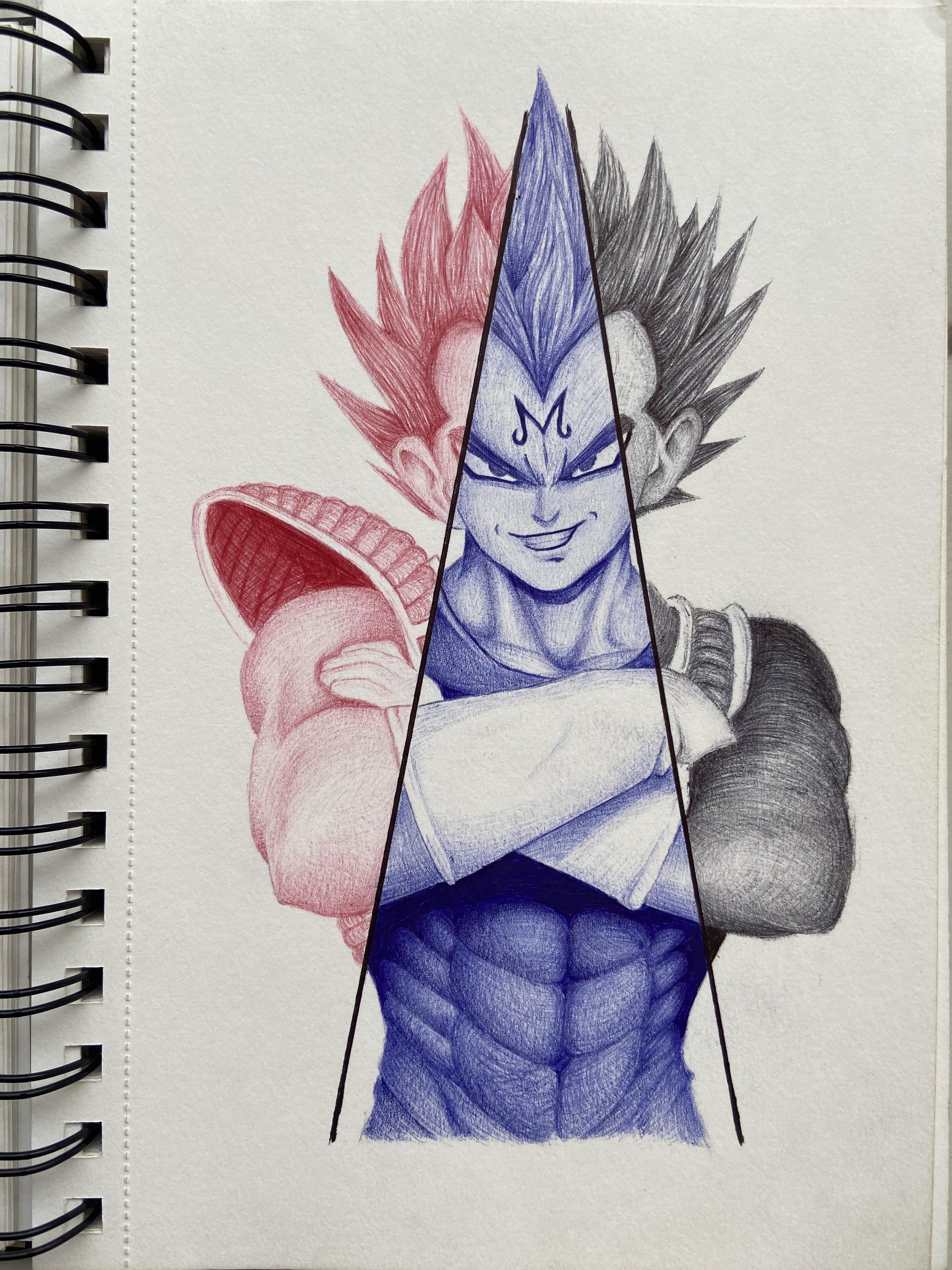 Tri colour ballpoint pen sketch | Scrolller