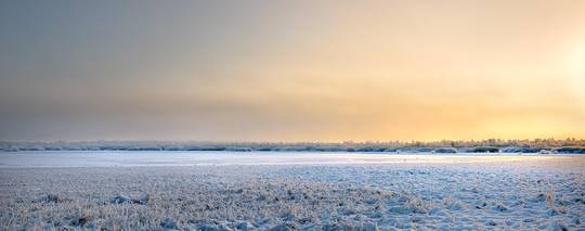 Ukrainian Steppe