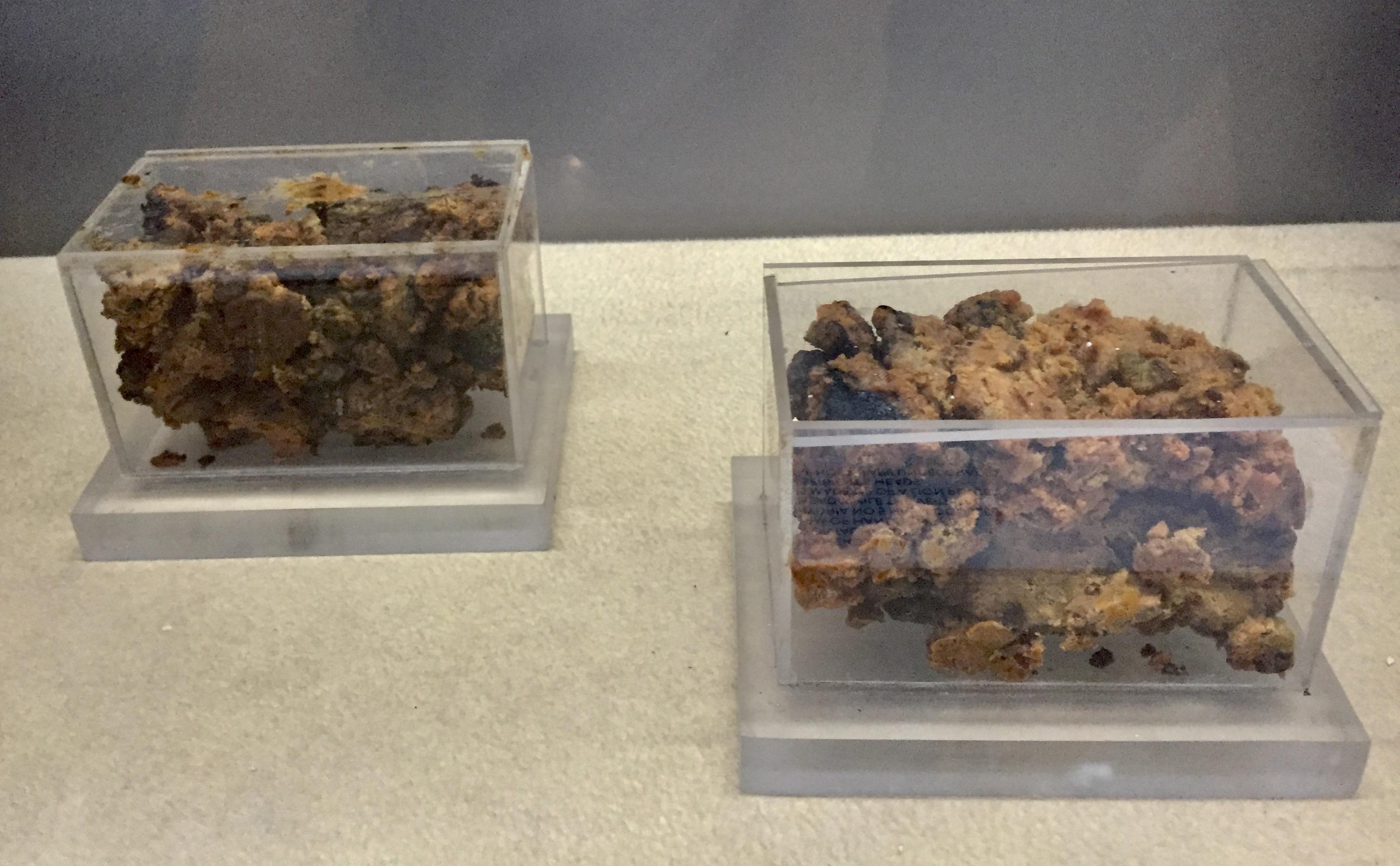 Votive deposits of edible honey recovered from bronze vessels in an