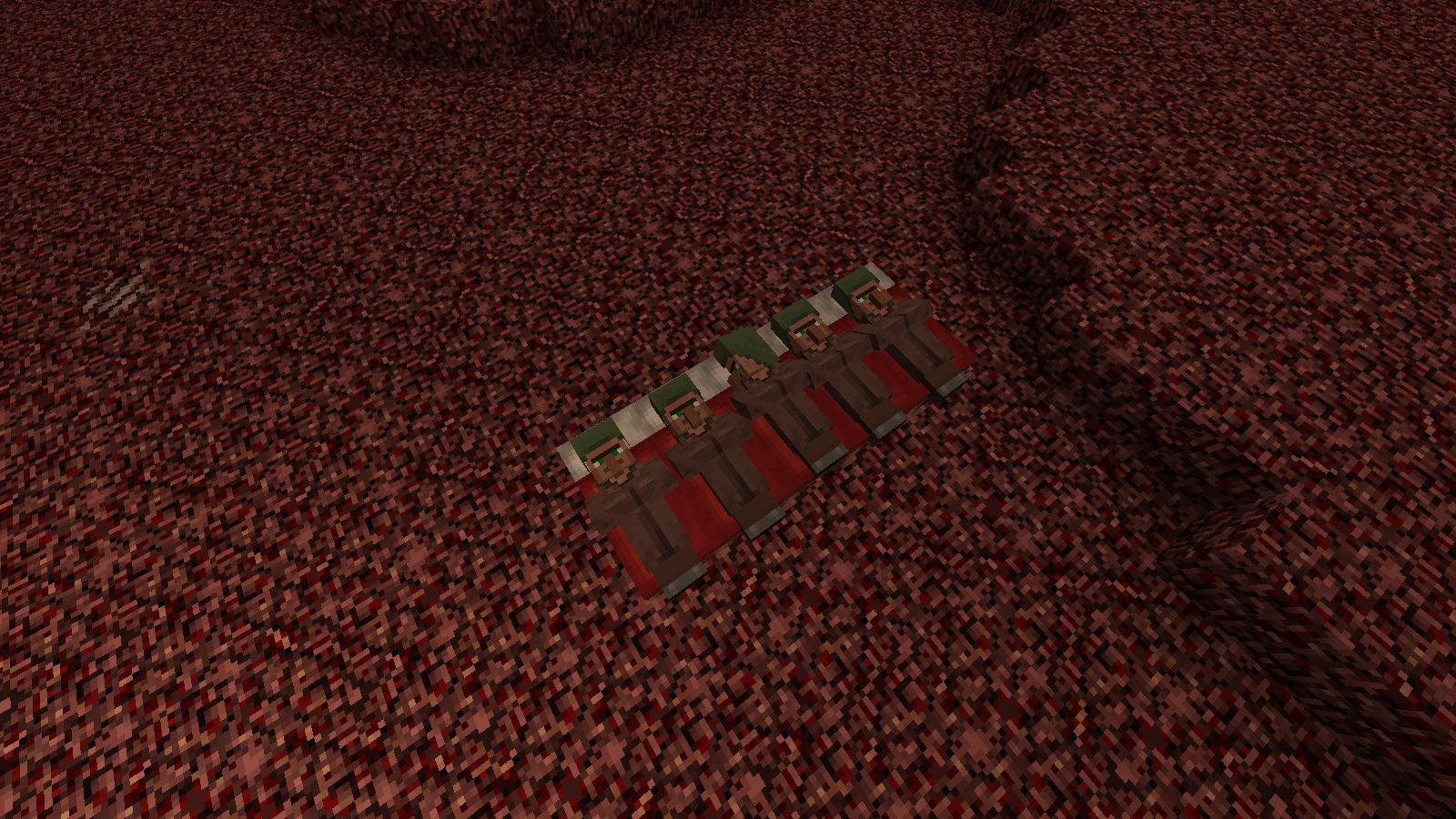 wait villagers can sleep in the nether? Scrolller