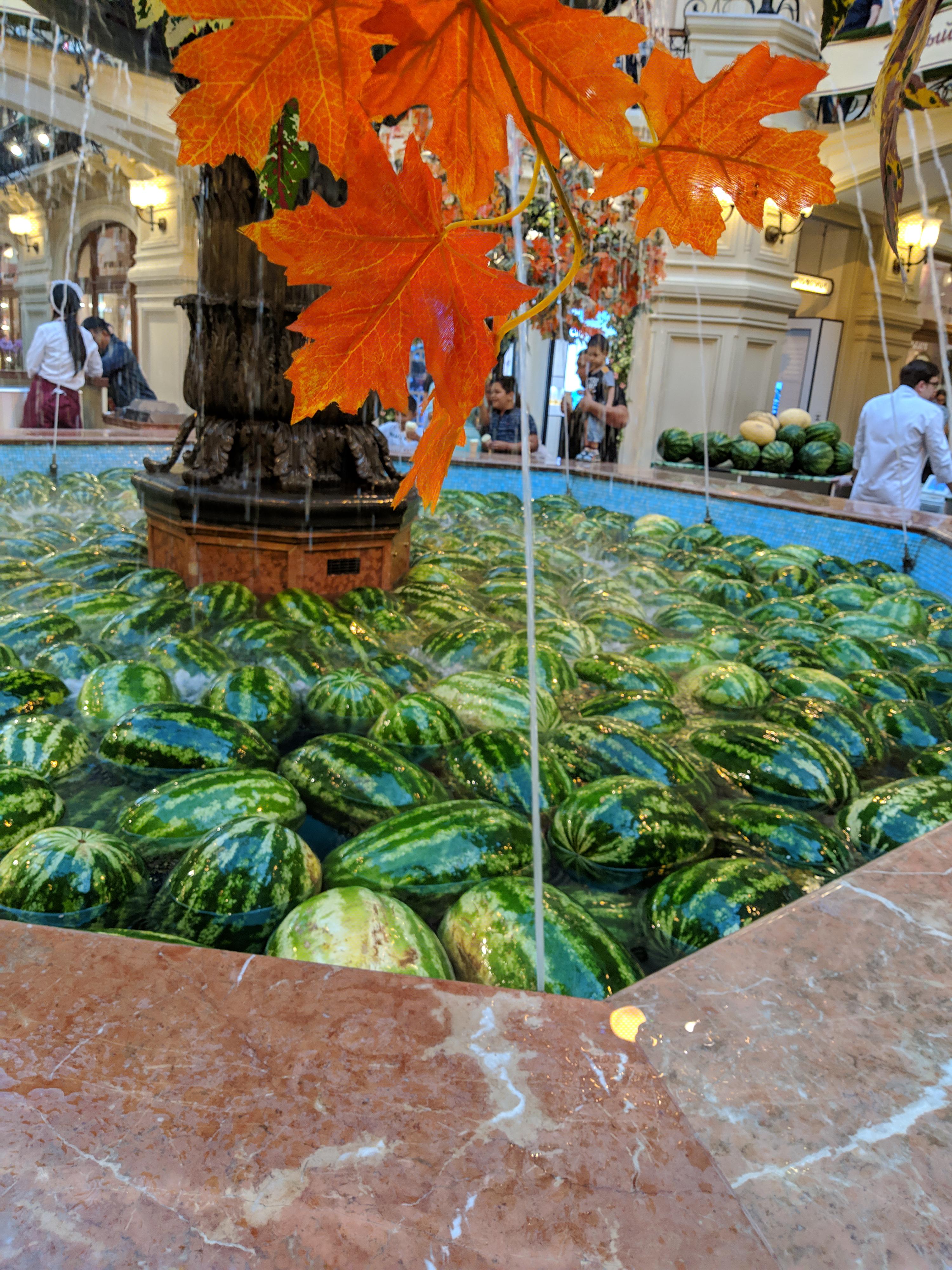 Watermelons in a fountain. | Scrolller