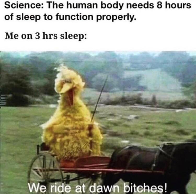 We ride at dawn Scrolller