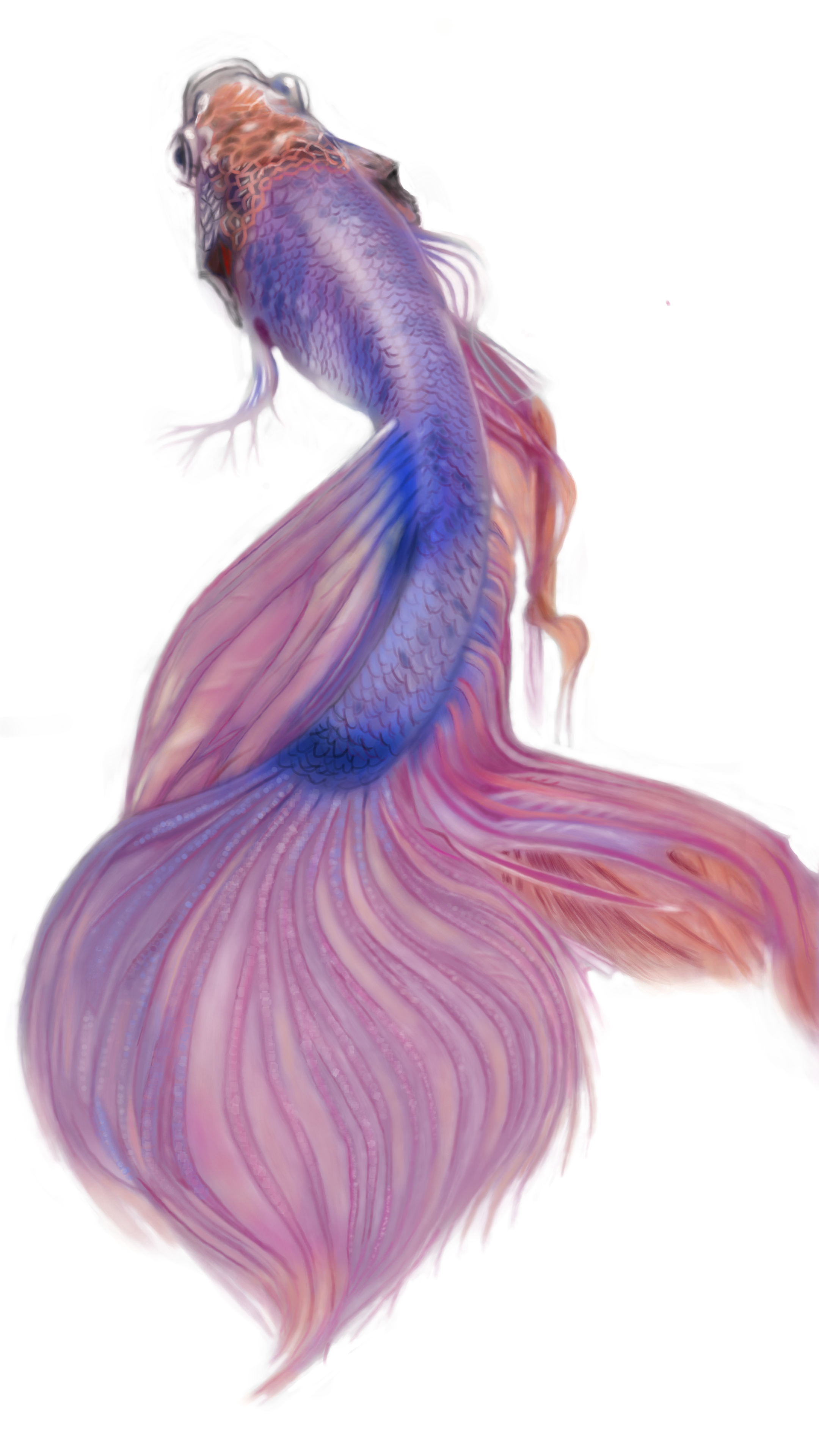 Discover more like Learnart: What do you think of my fish ...