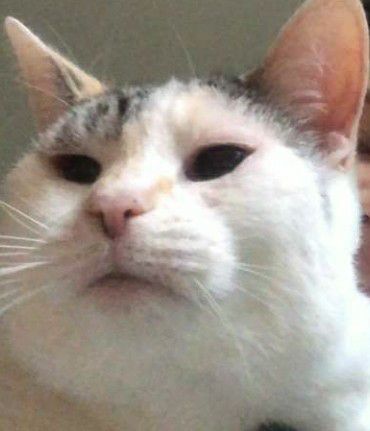 When guy ask for nudes | Scrolller