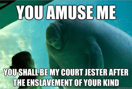 When you find something worth you laugh | Scrolller