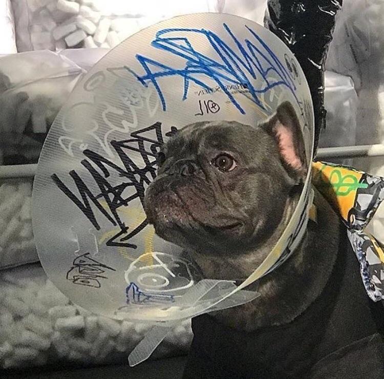 When you have the homies sign your cast | Scrolller