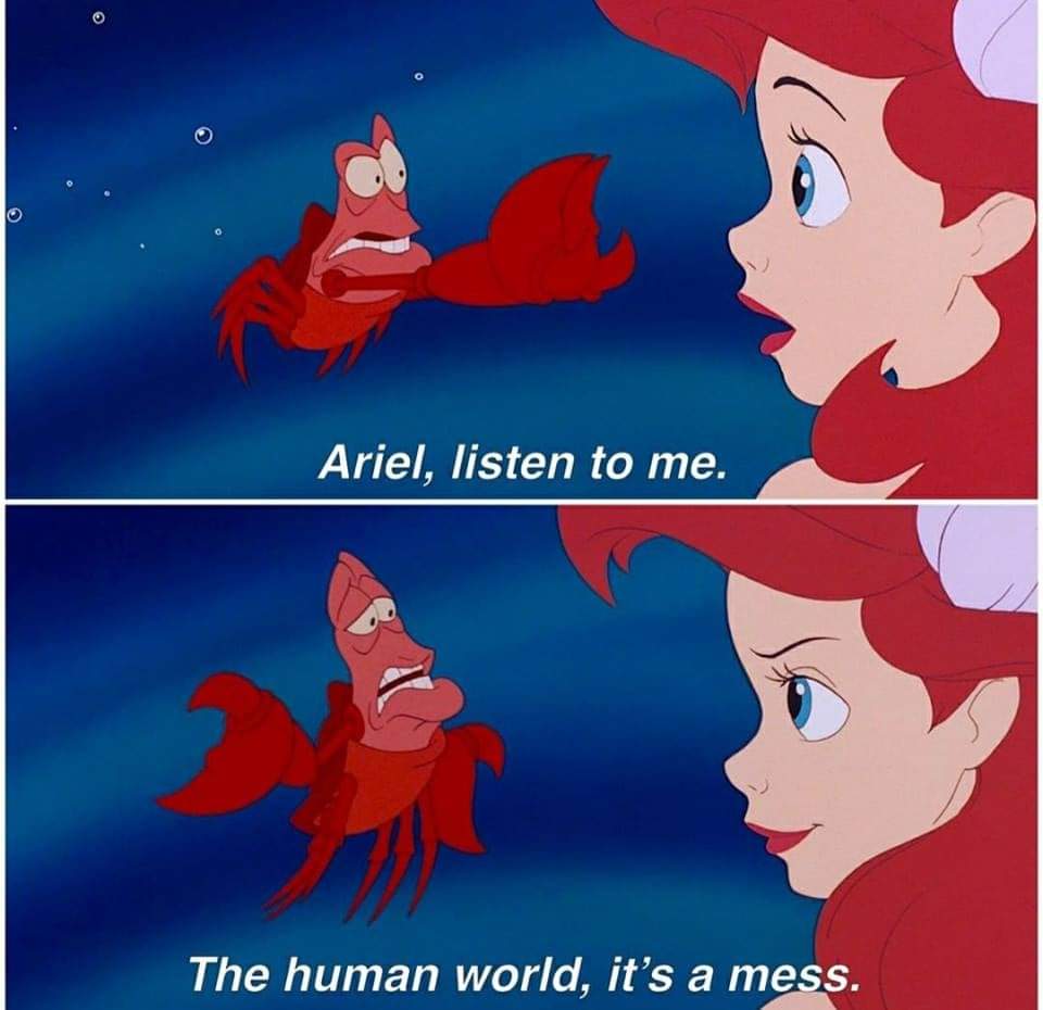 When you're right you're right Scrolller