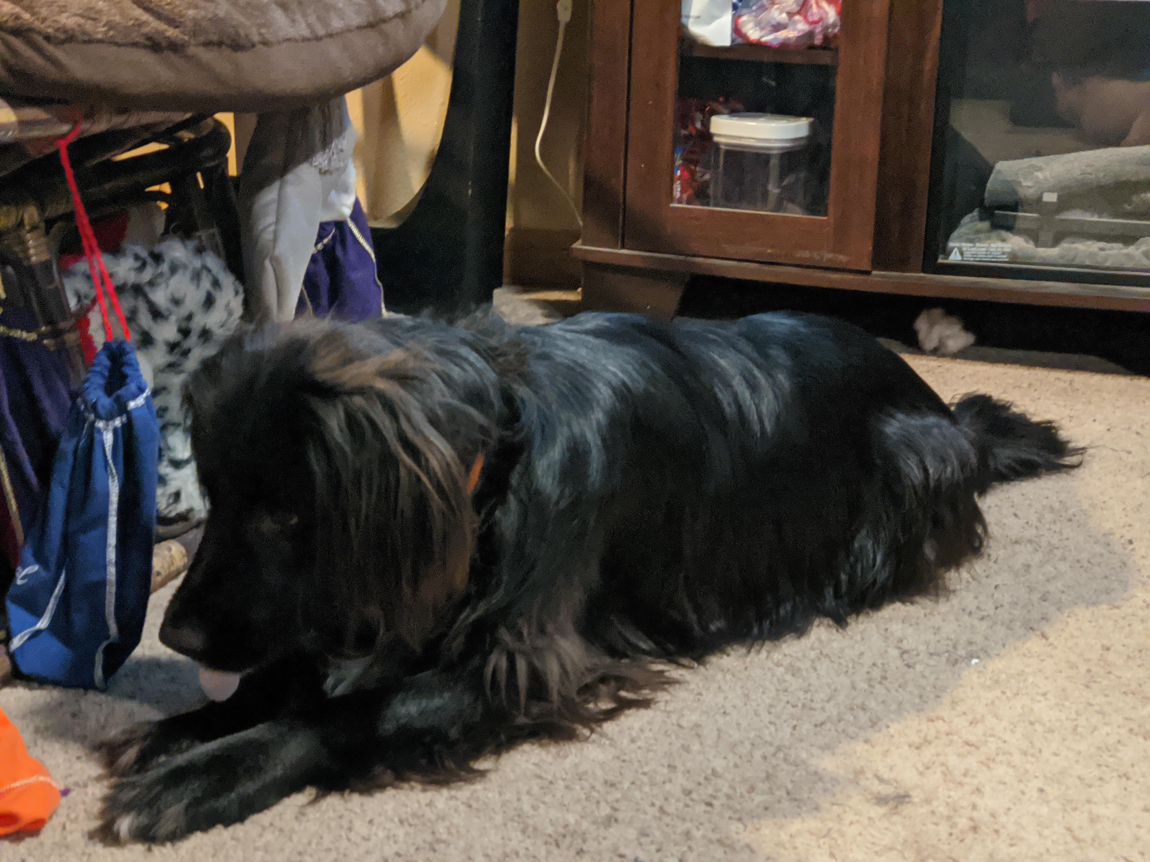 White Blooper Scrolller