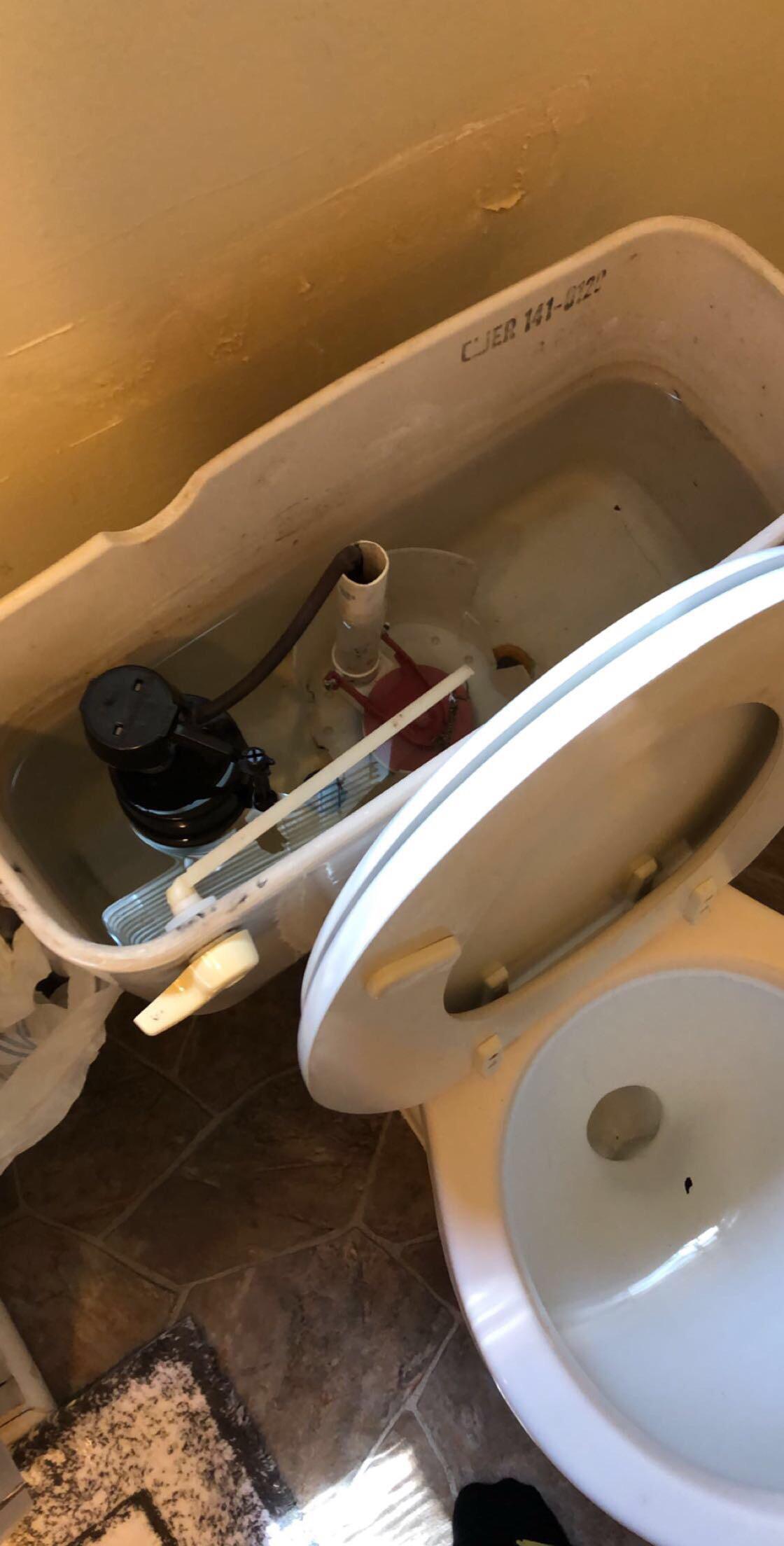 Why doesn’t my toilet flush? Scrolller