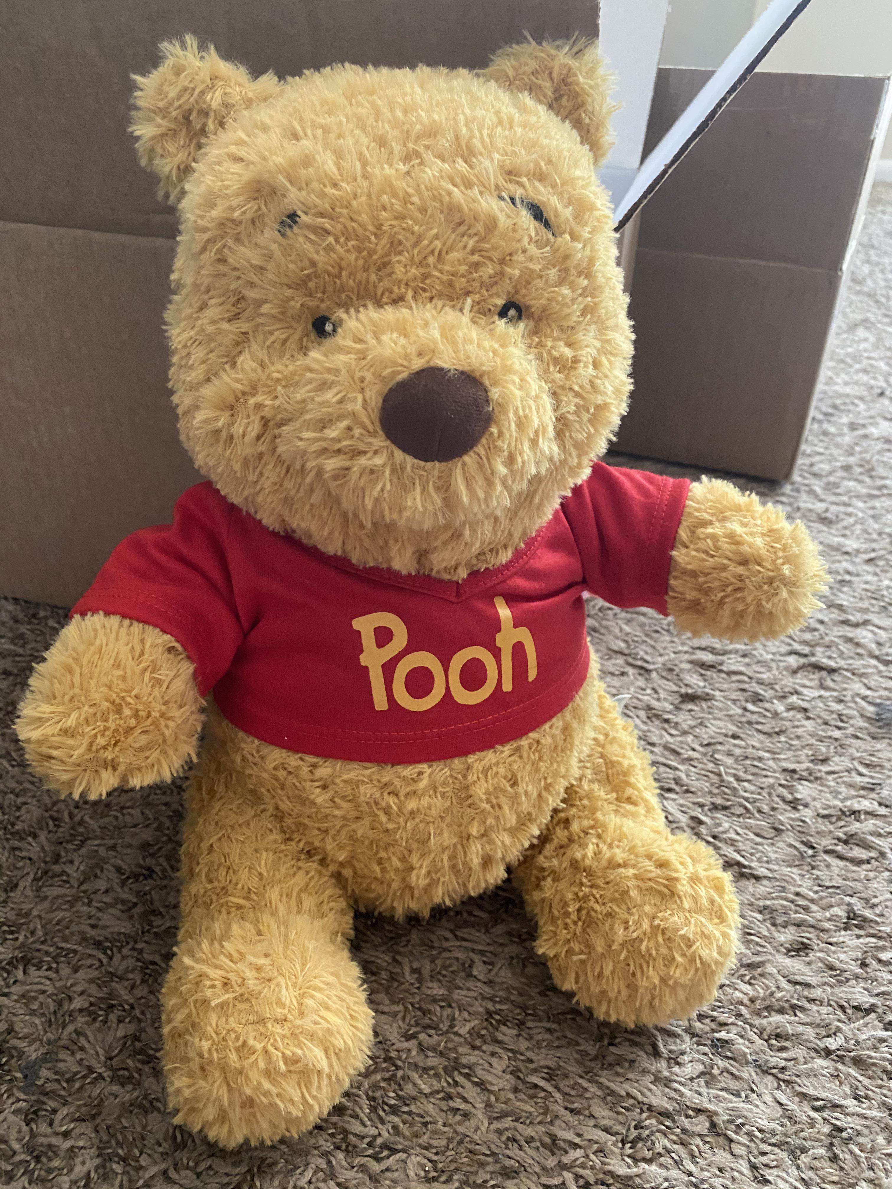 Winnie the Pooh finally arrived in the mail ️💛 | Scrolller