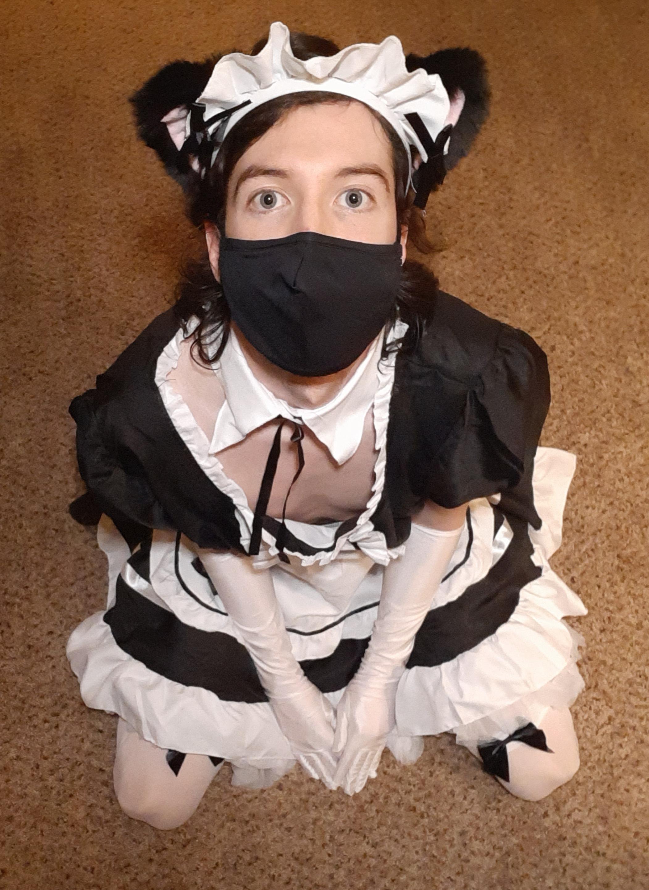 You come home and open the door to see your cat maid on her knees