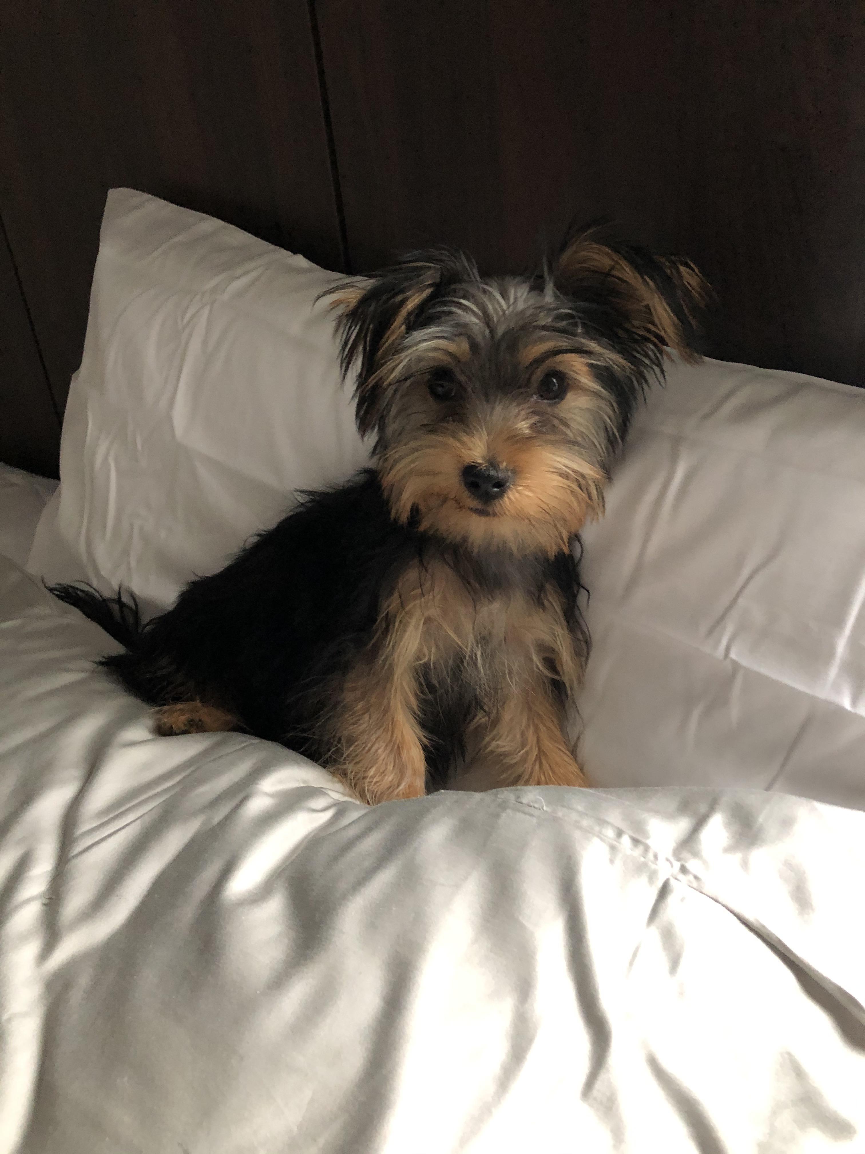 Yuka lookin clean after her 3rd bath ever! | Scrolller
