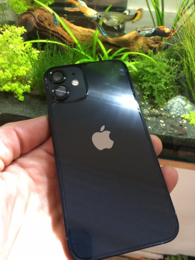 12 mini with rhinoshield scratch guard back film and camera Lens