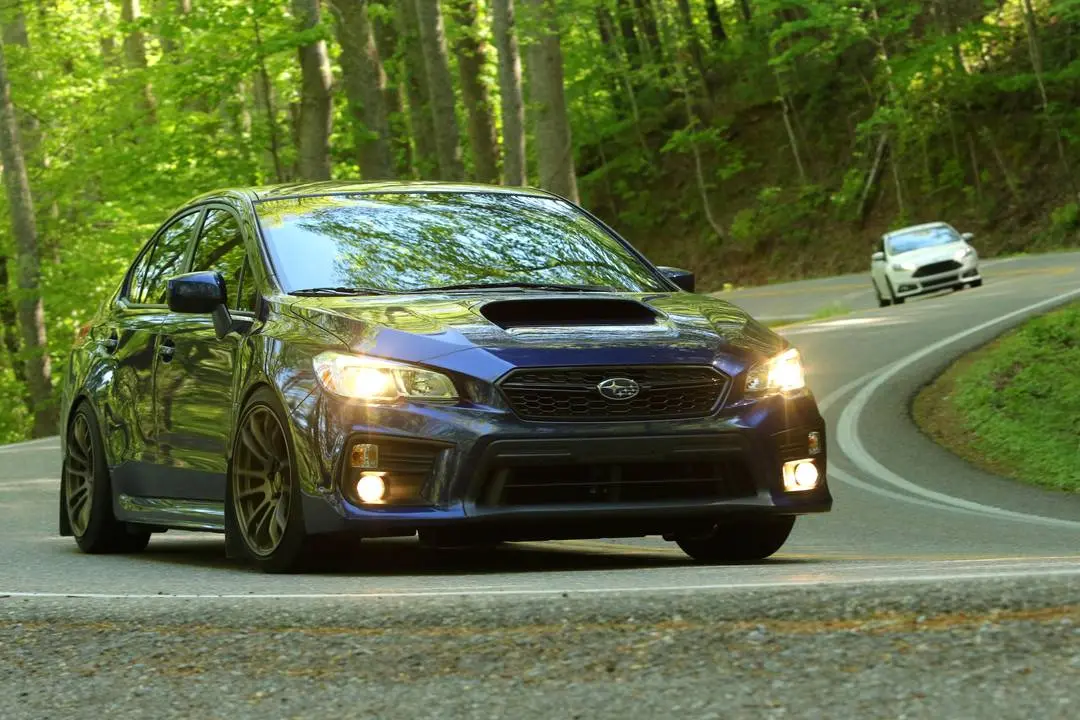 2019 Boxer Takeover at the tail of the dragon this past weekend. What a ...