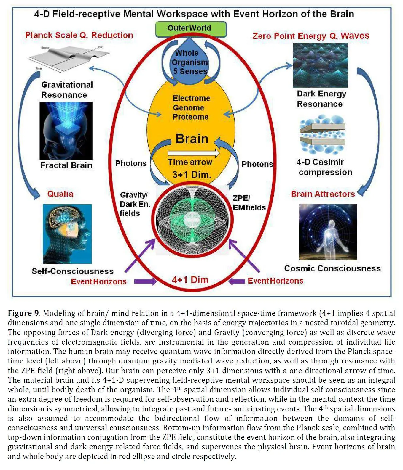 Receptive Brain 4-D Field Receptive Mental Workspace with Event Horizon of the Brain ...
